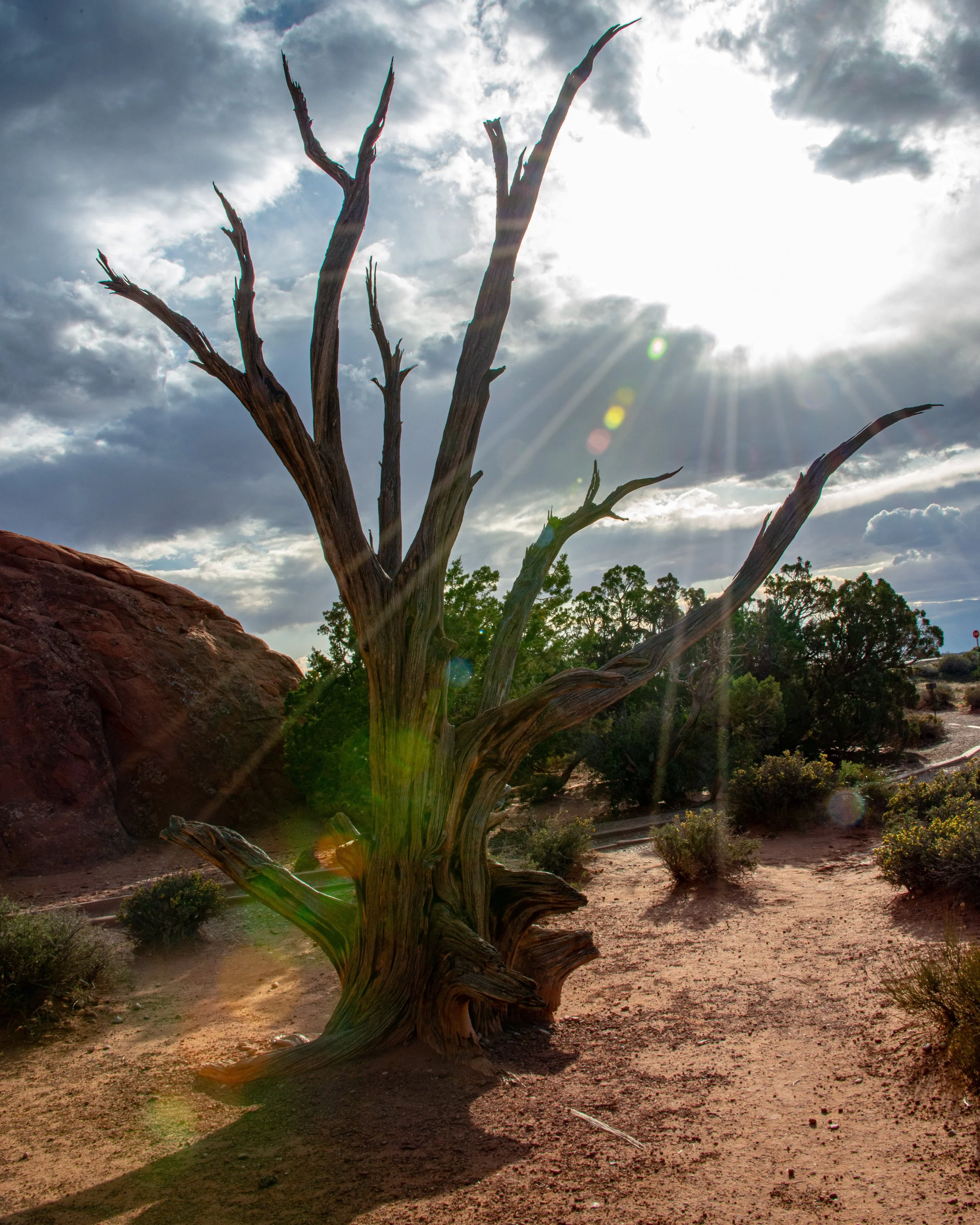 Arches-102.jpg