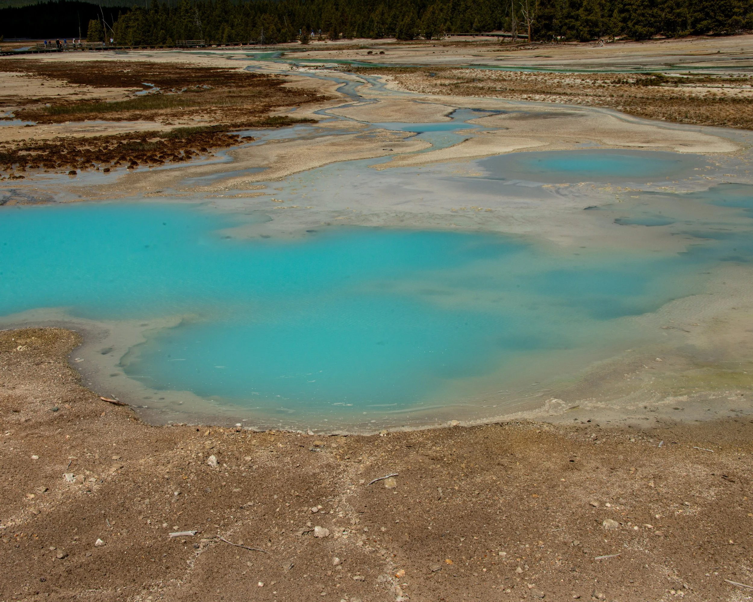 Yellowstone NP-441.jpg