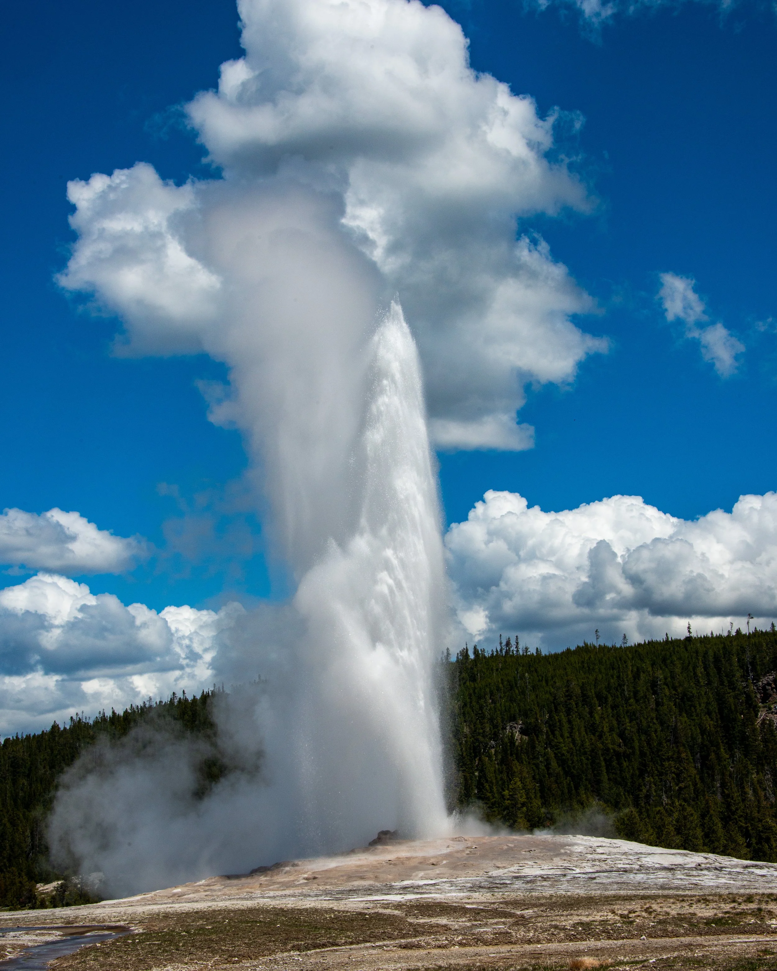 Yellowstone NP-621.jpg