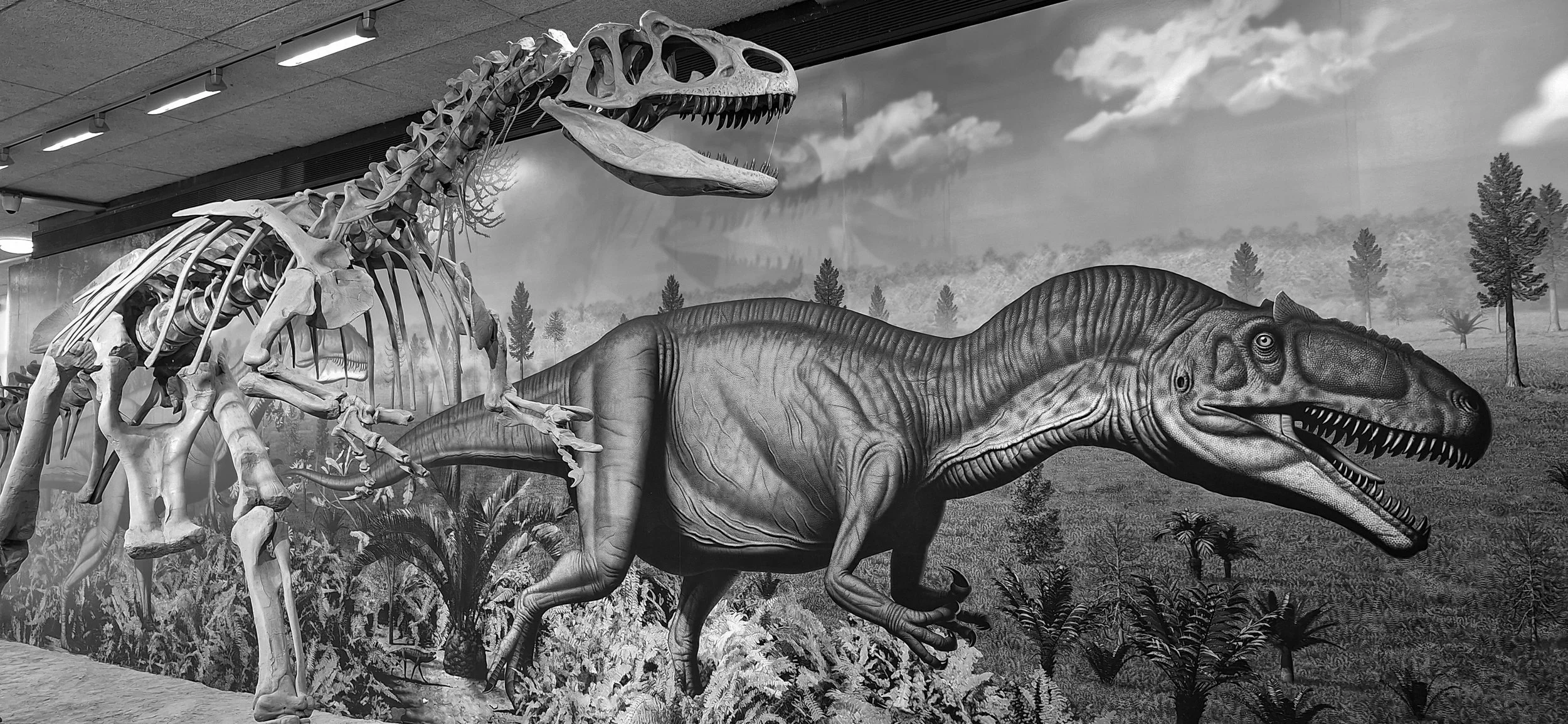 Dinosaur NM-13.jpg