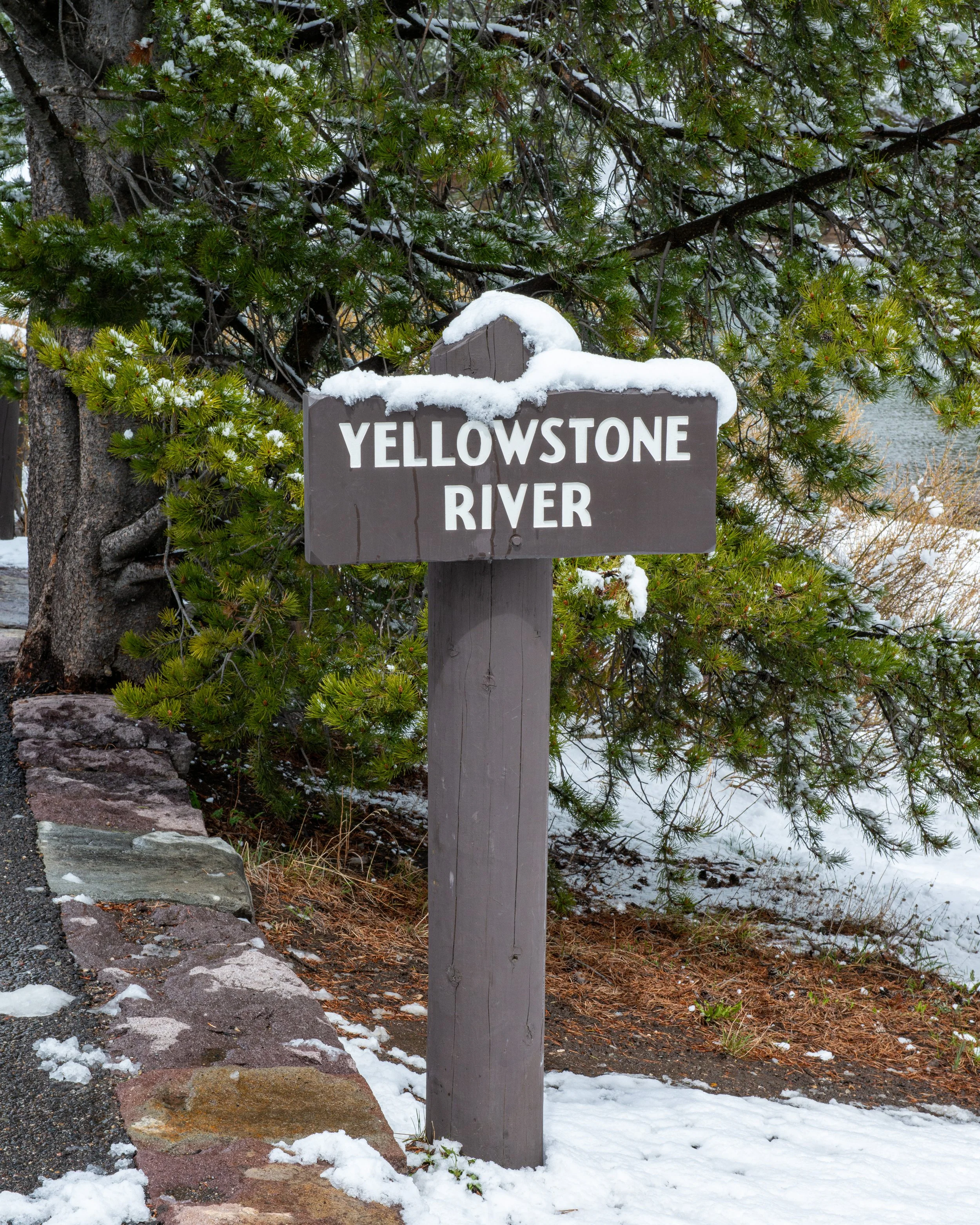 Yellowstone NP-55.jpg