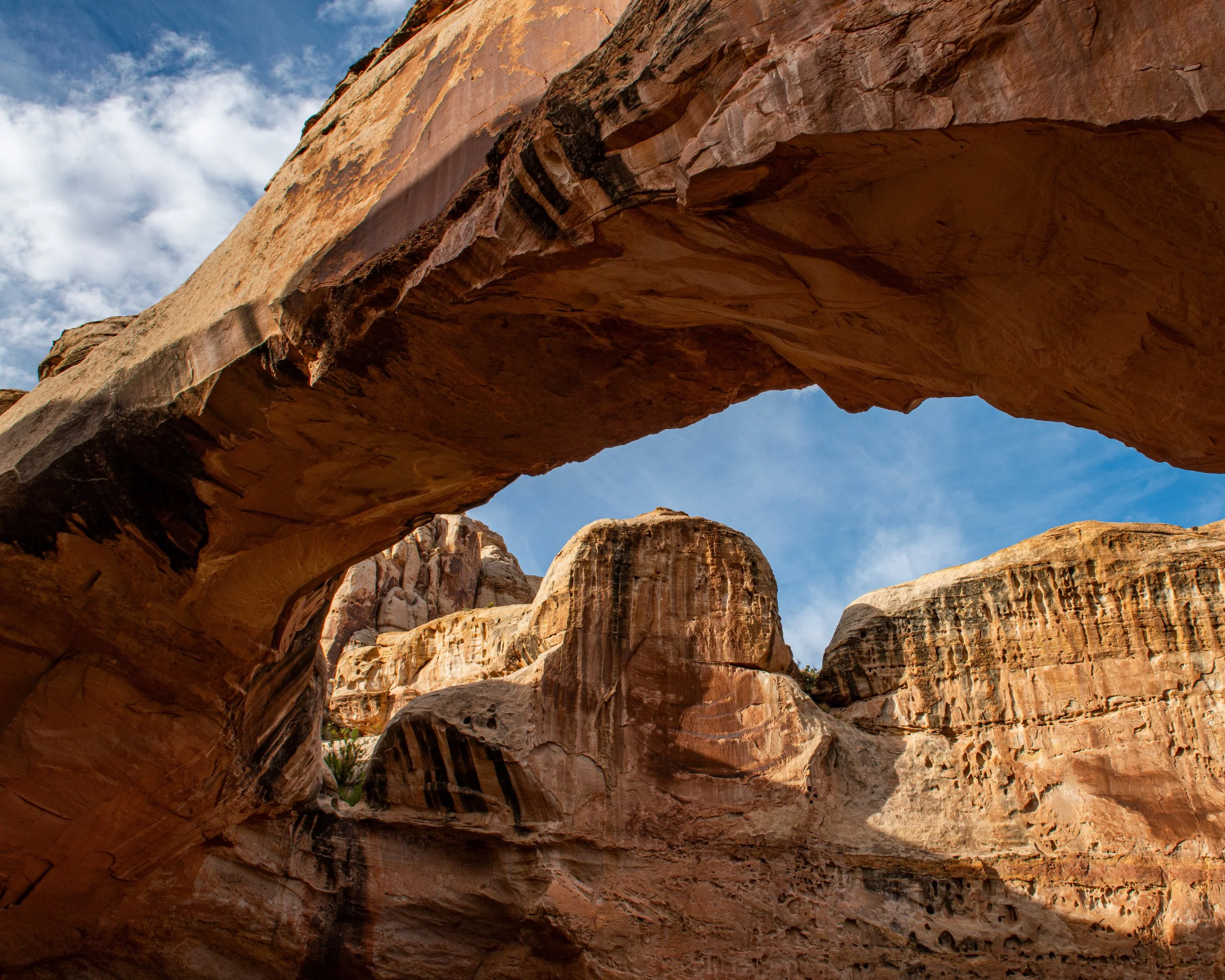 Capitol Reef-48.jpg