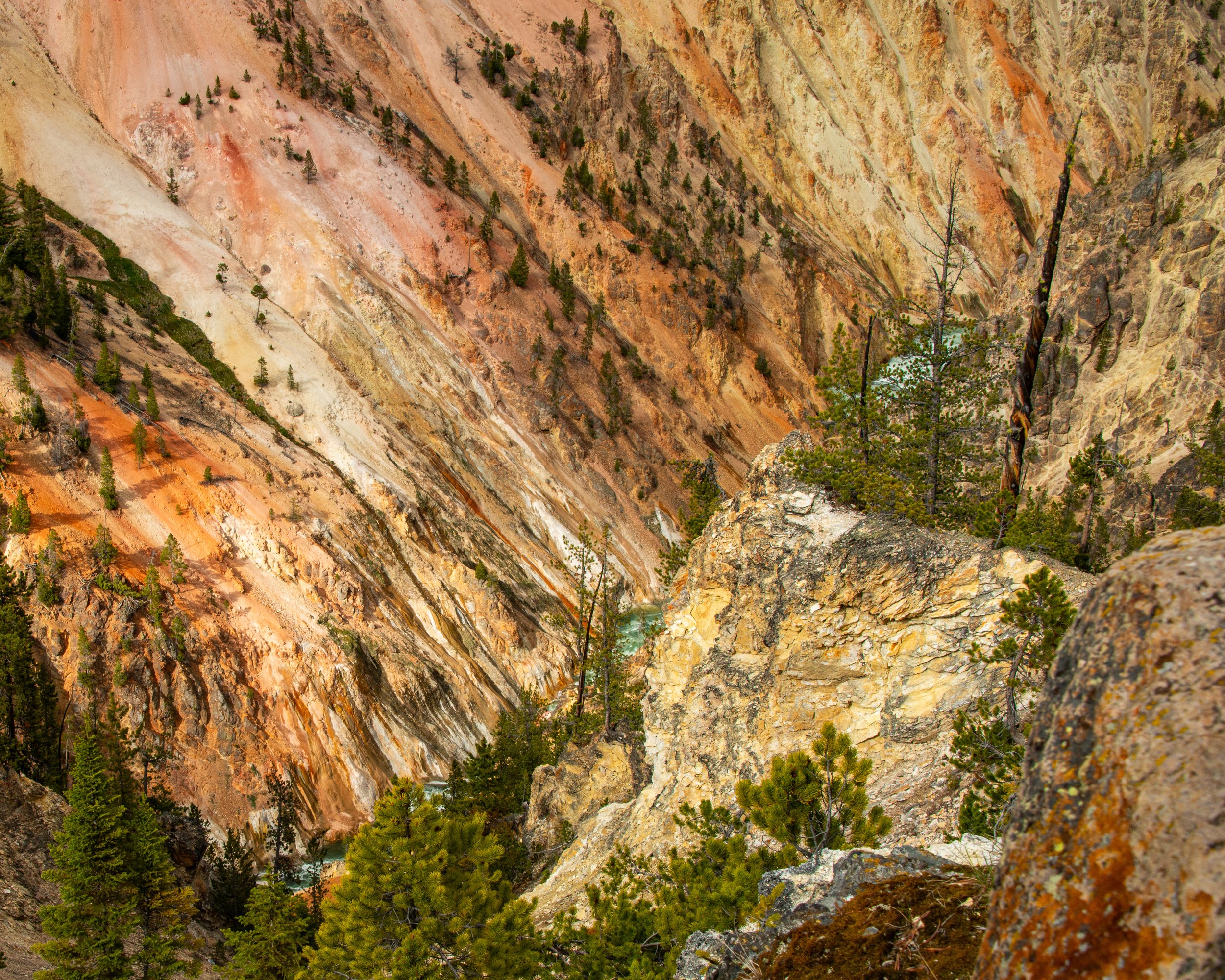Yellowstone NP-394.jpg