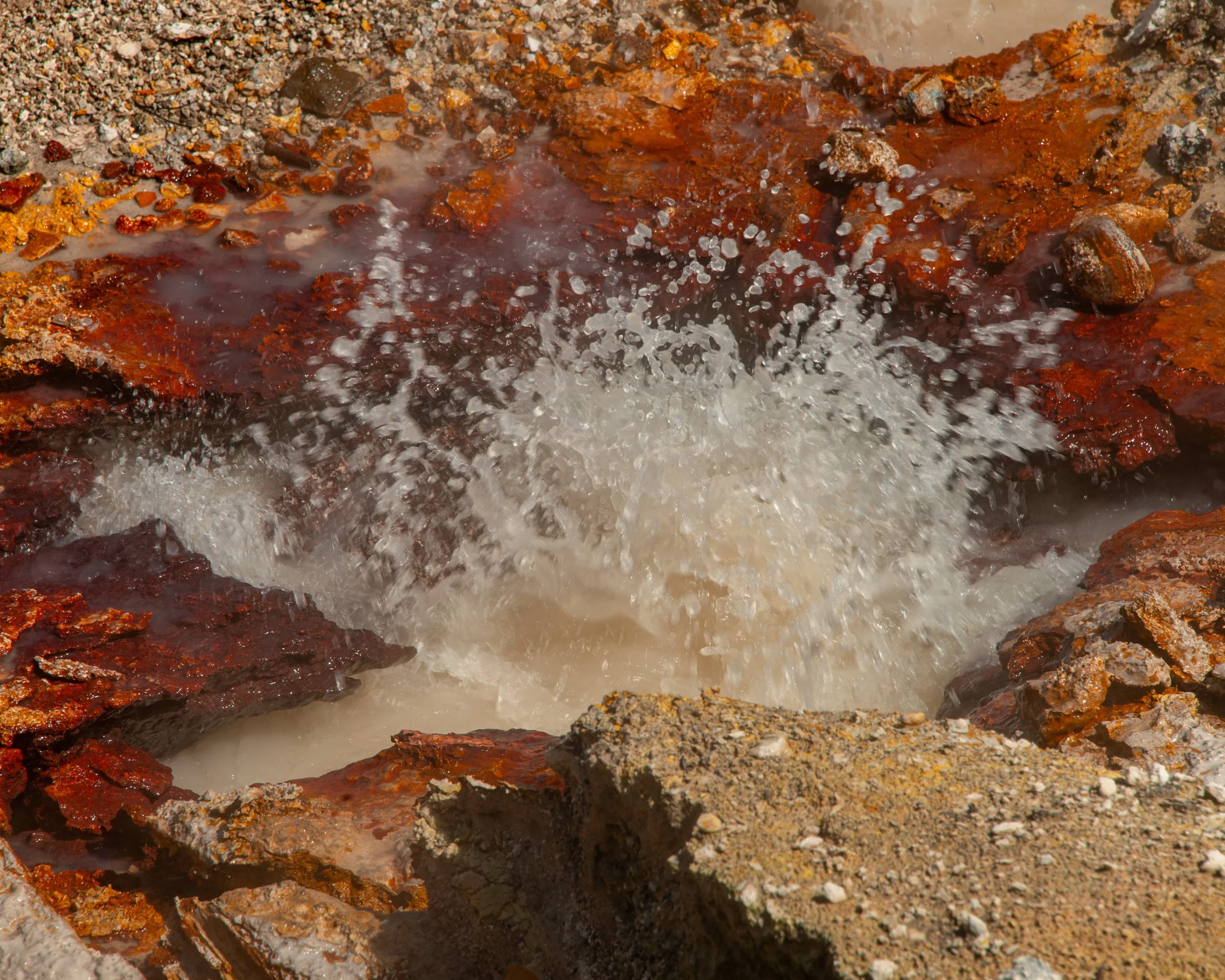 Yellowstone NP-417.jpg