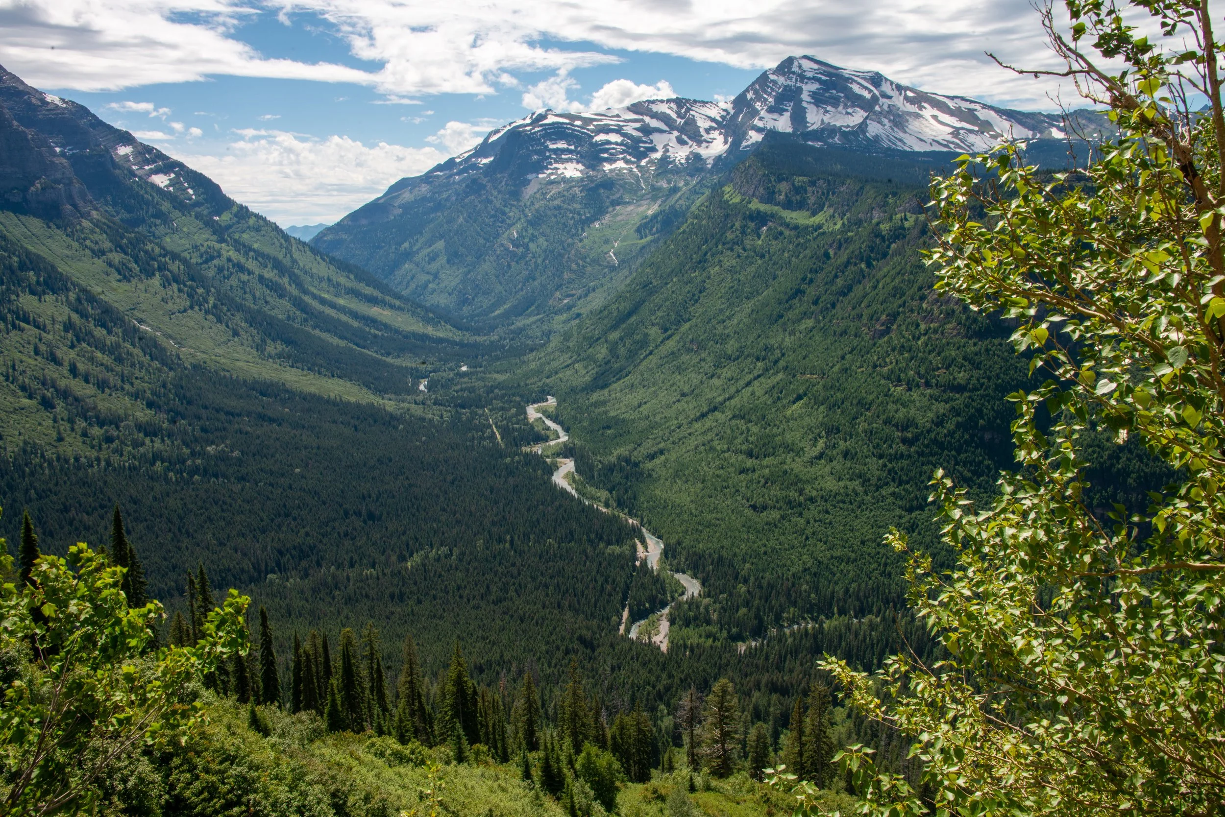 Glacier NP-565.jpg