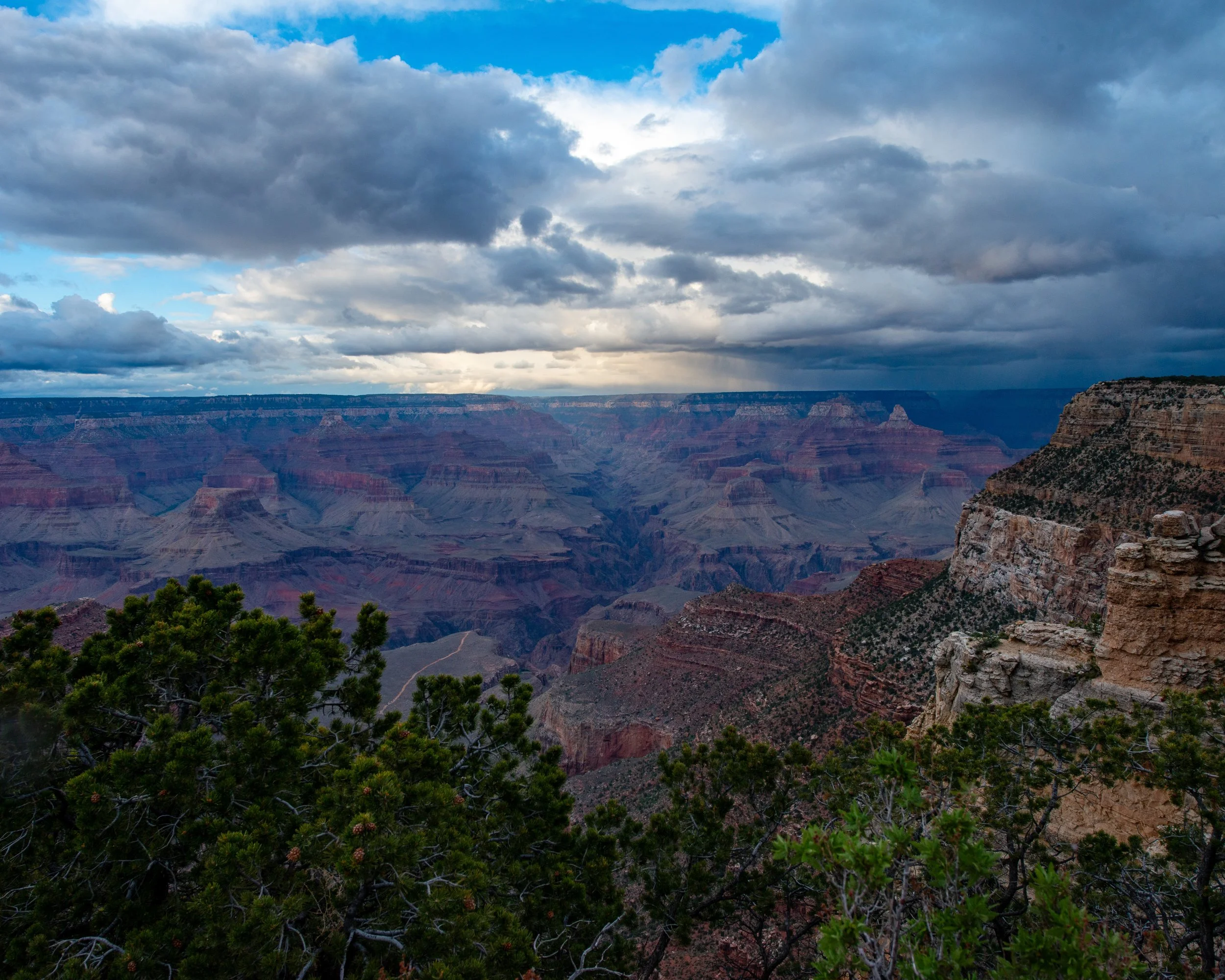 Rim Trail 5-6-25-92.jpg