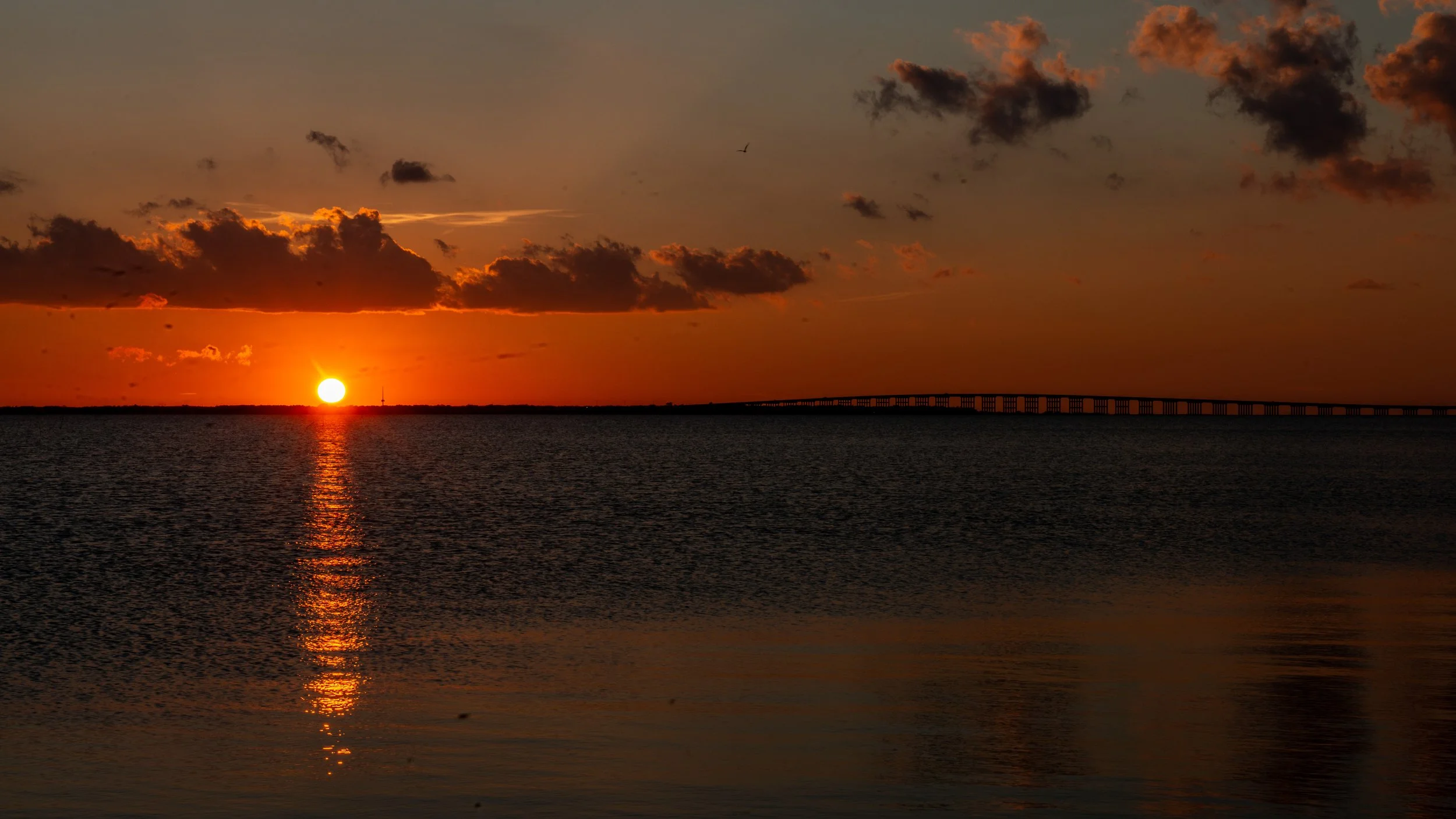 Goose Island SP-219.jpg