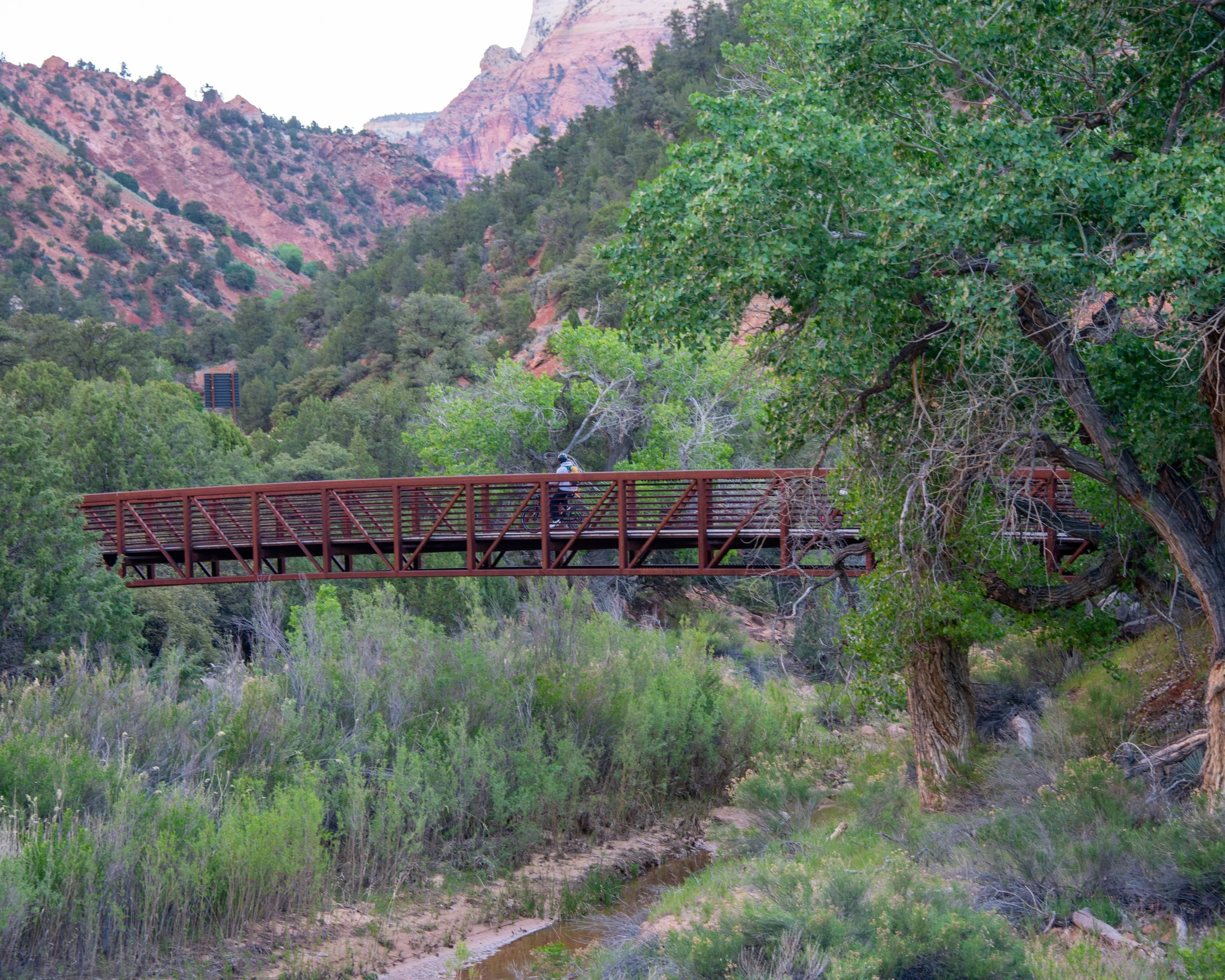 Zion-47.jpg
