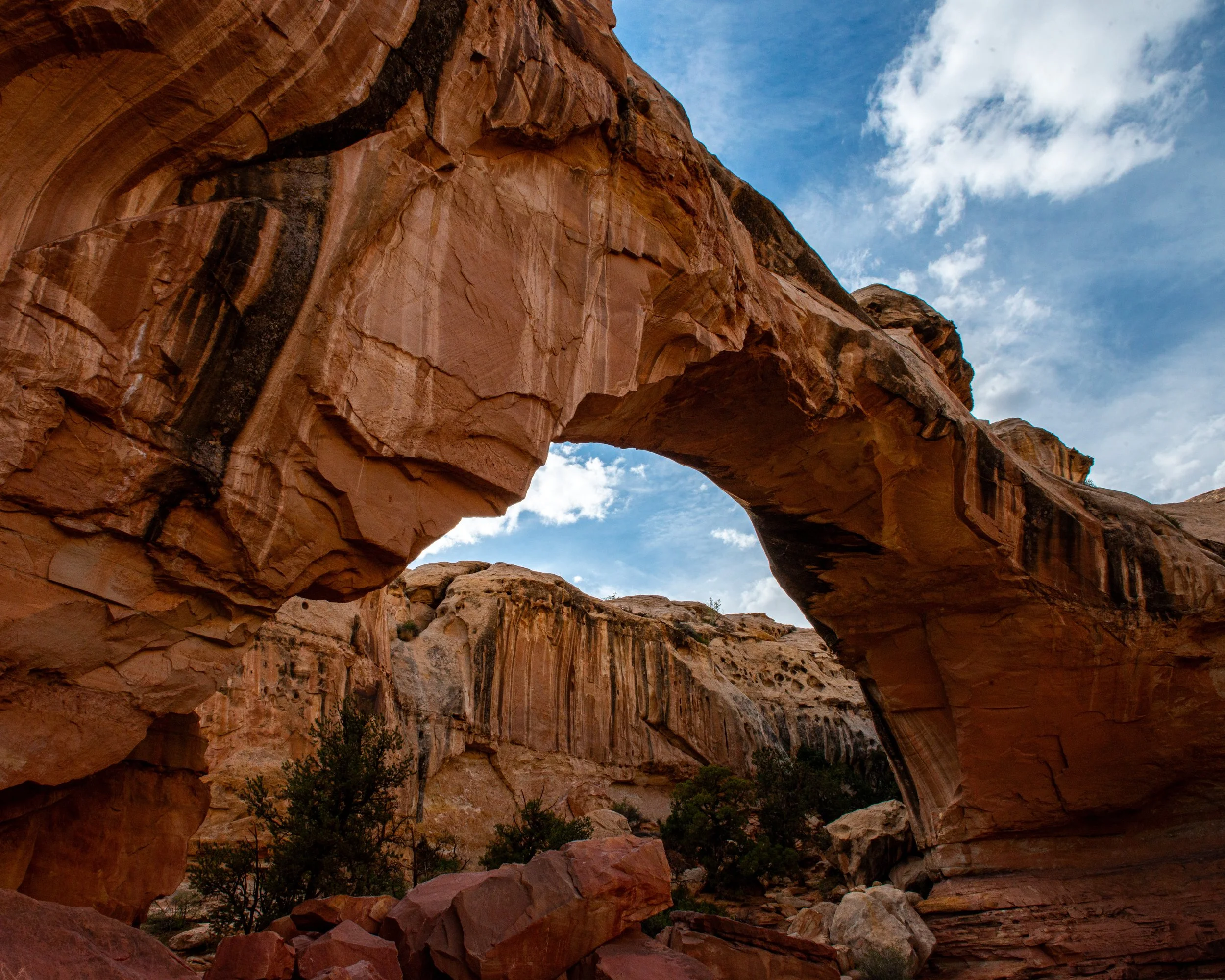 Capitol Reef-42.jpg