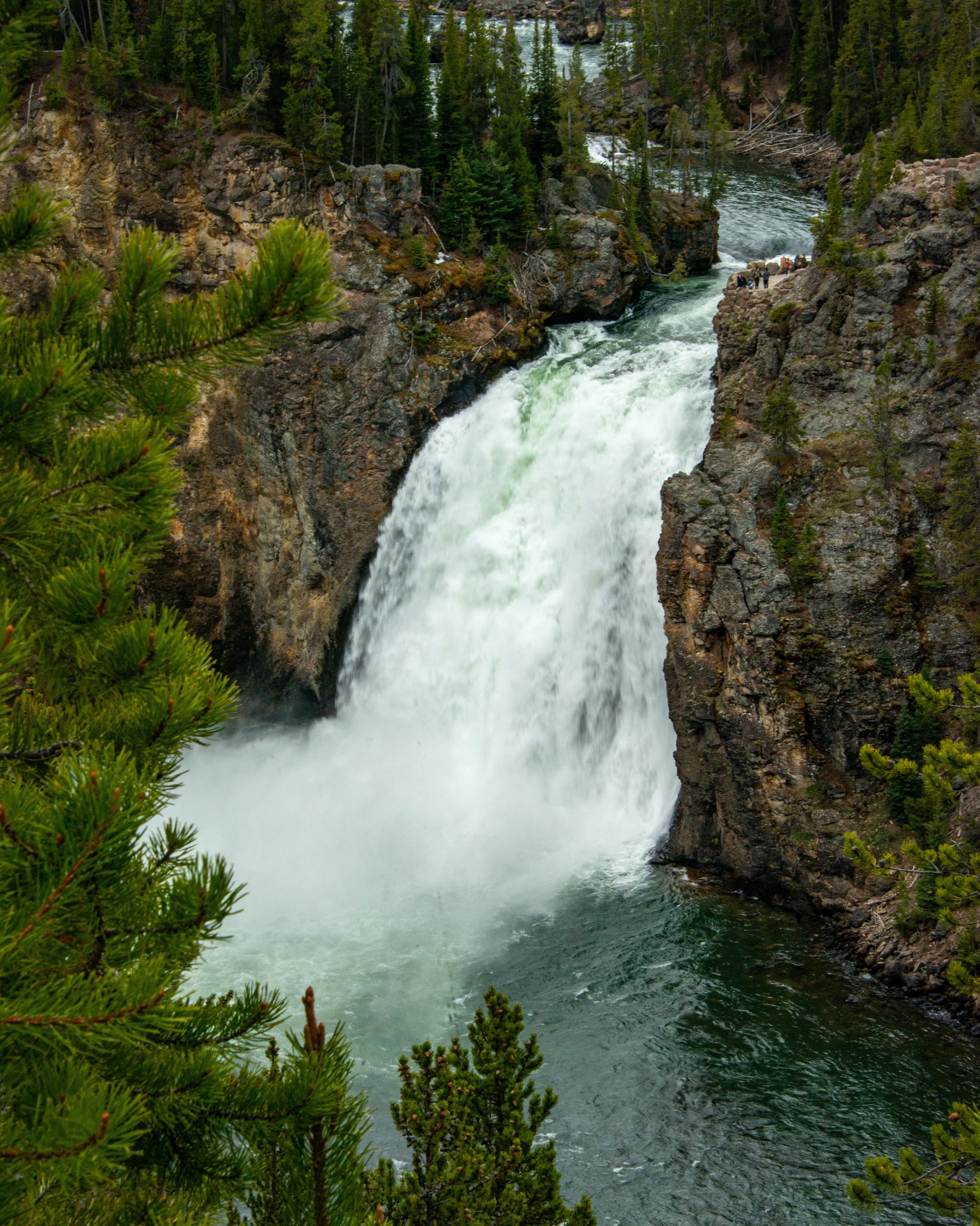 Yellowstone NP-351.jpg