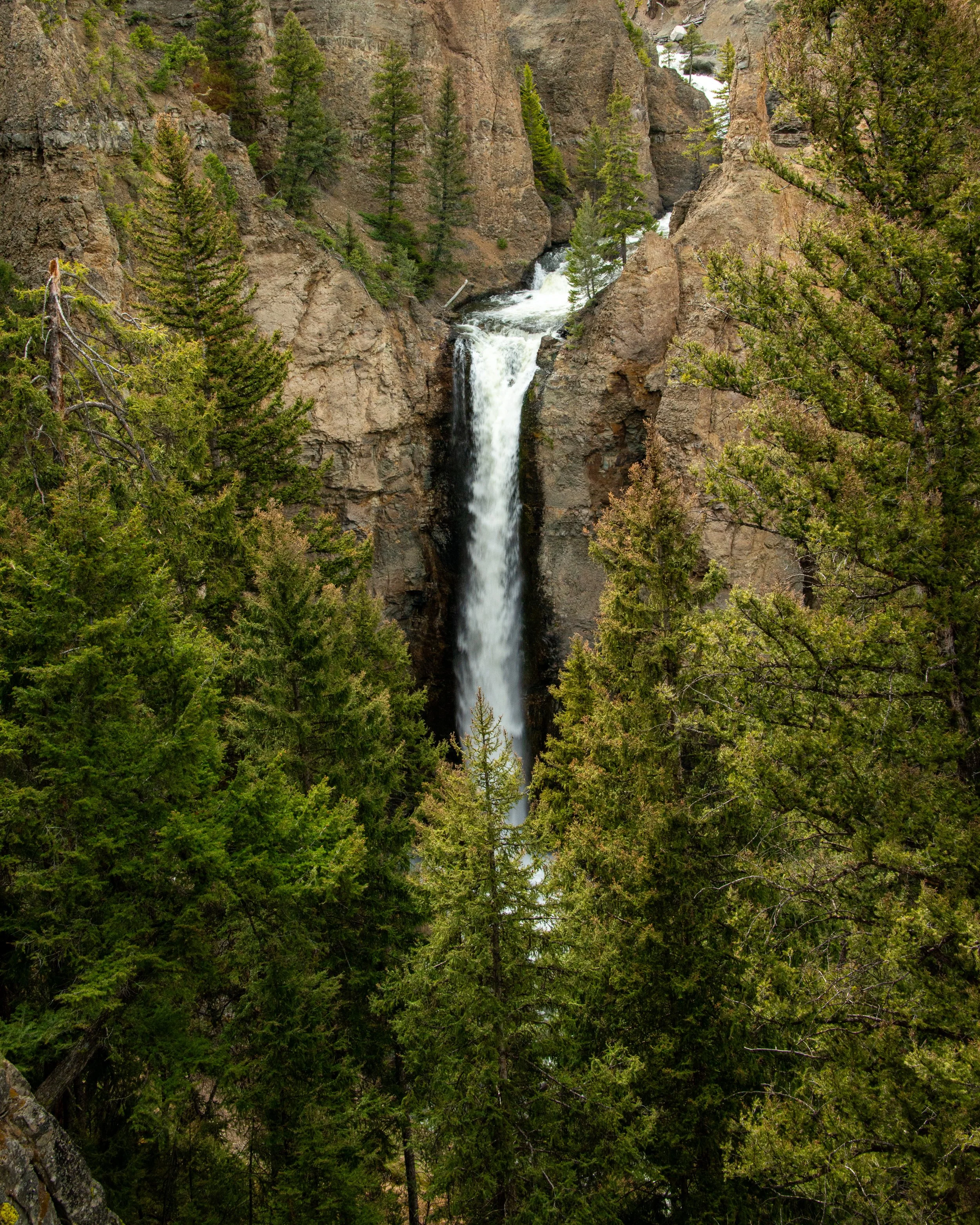 Yellowstone NP-598.jpg