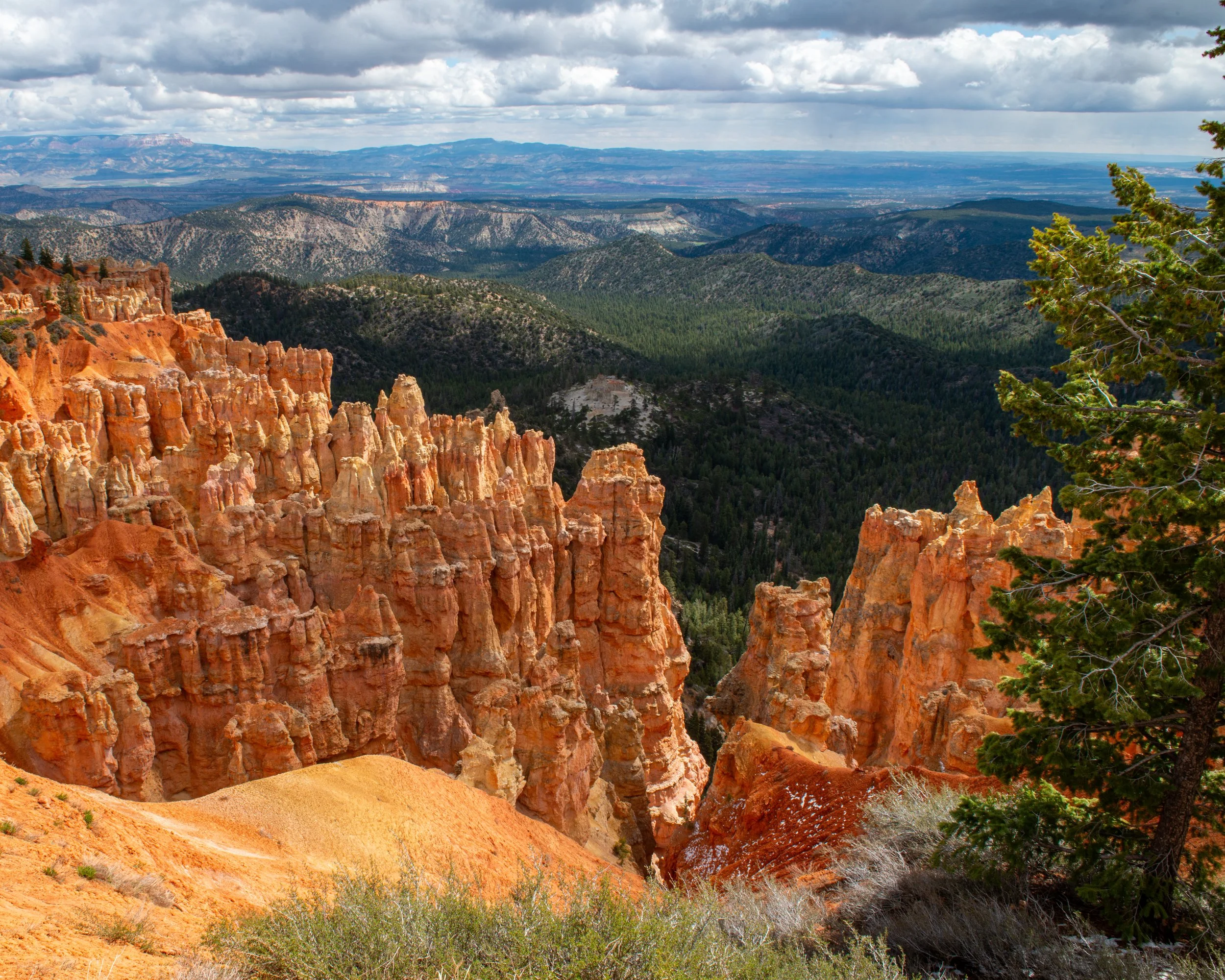 Bryce-156.jpg