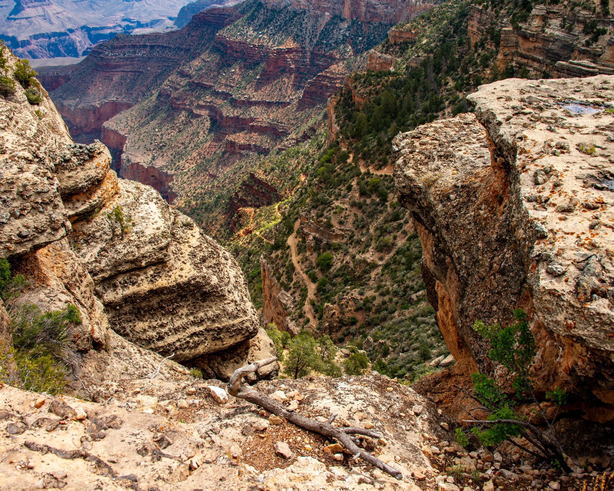 Trailview Overlook-17.jpg