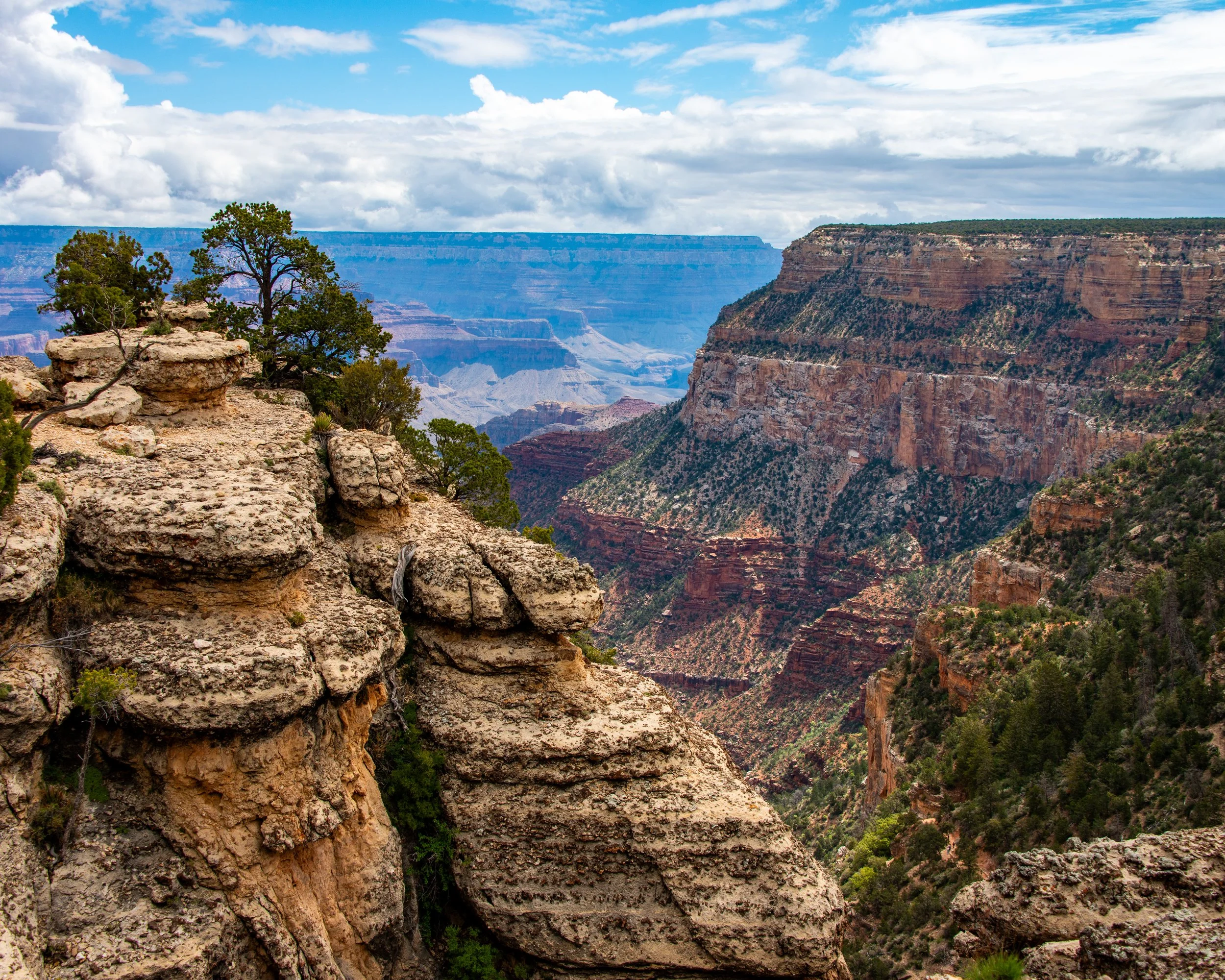 Trailview Overlook-19.jpg