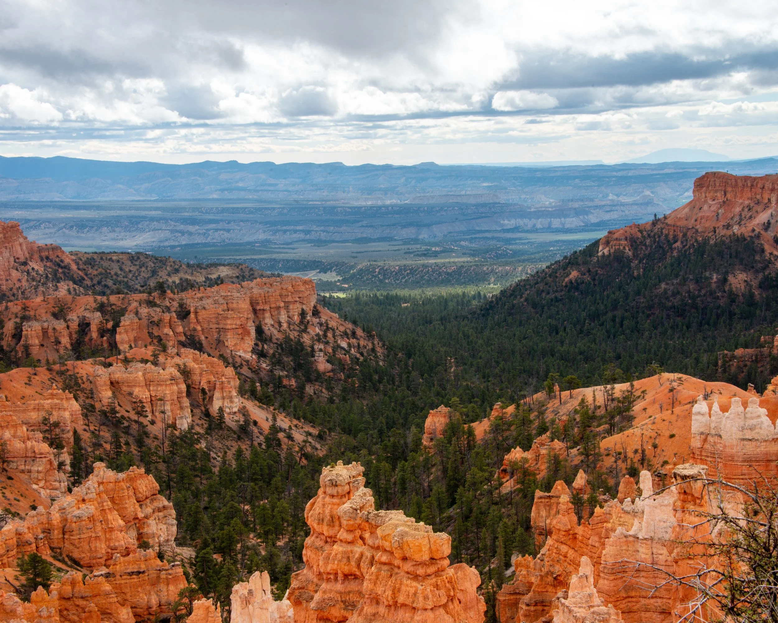 Bryce-15.jpg