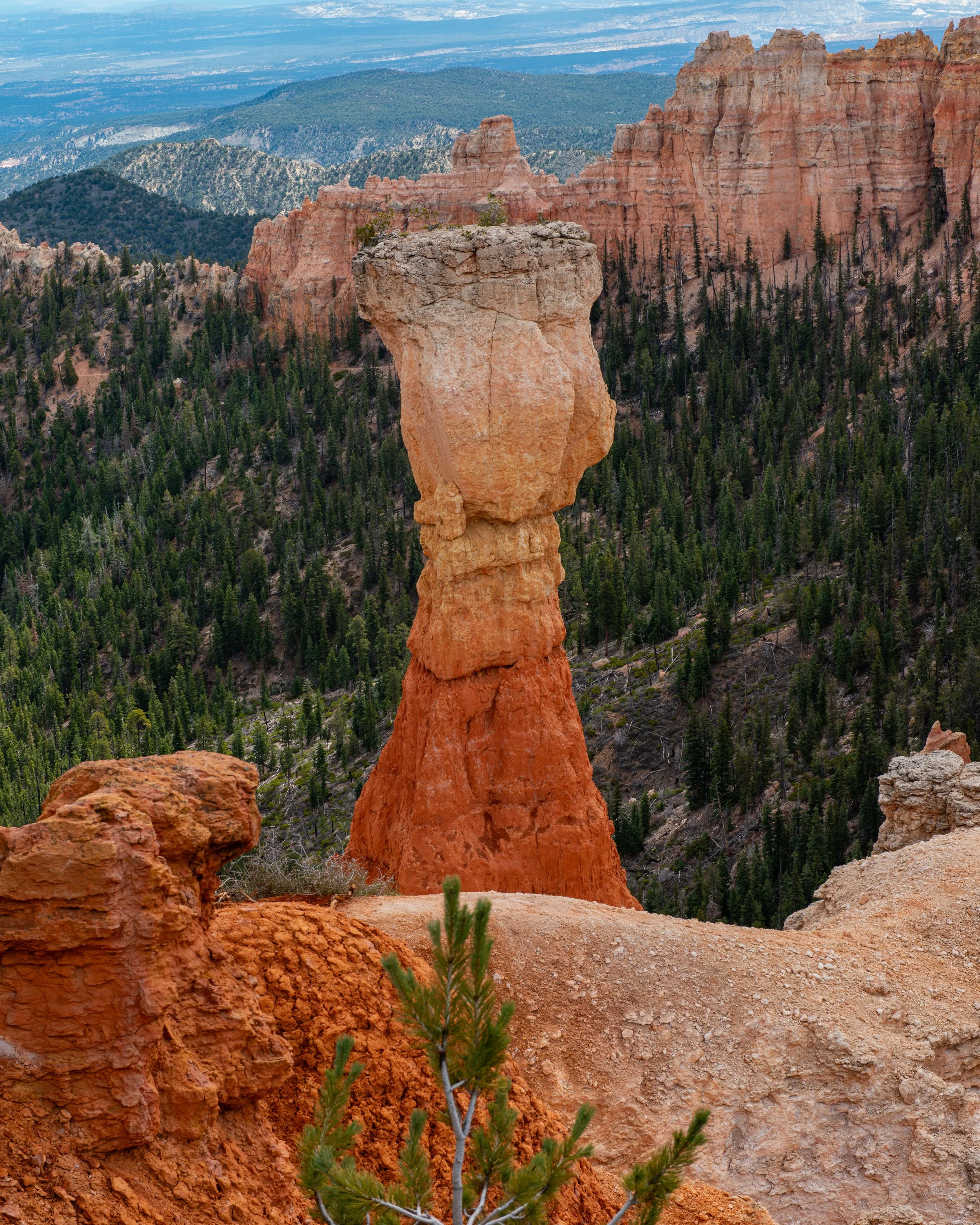 Bryce-188.jpg