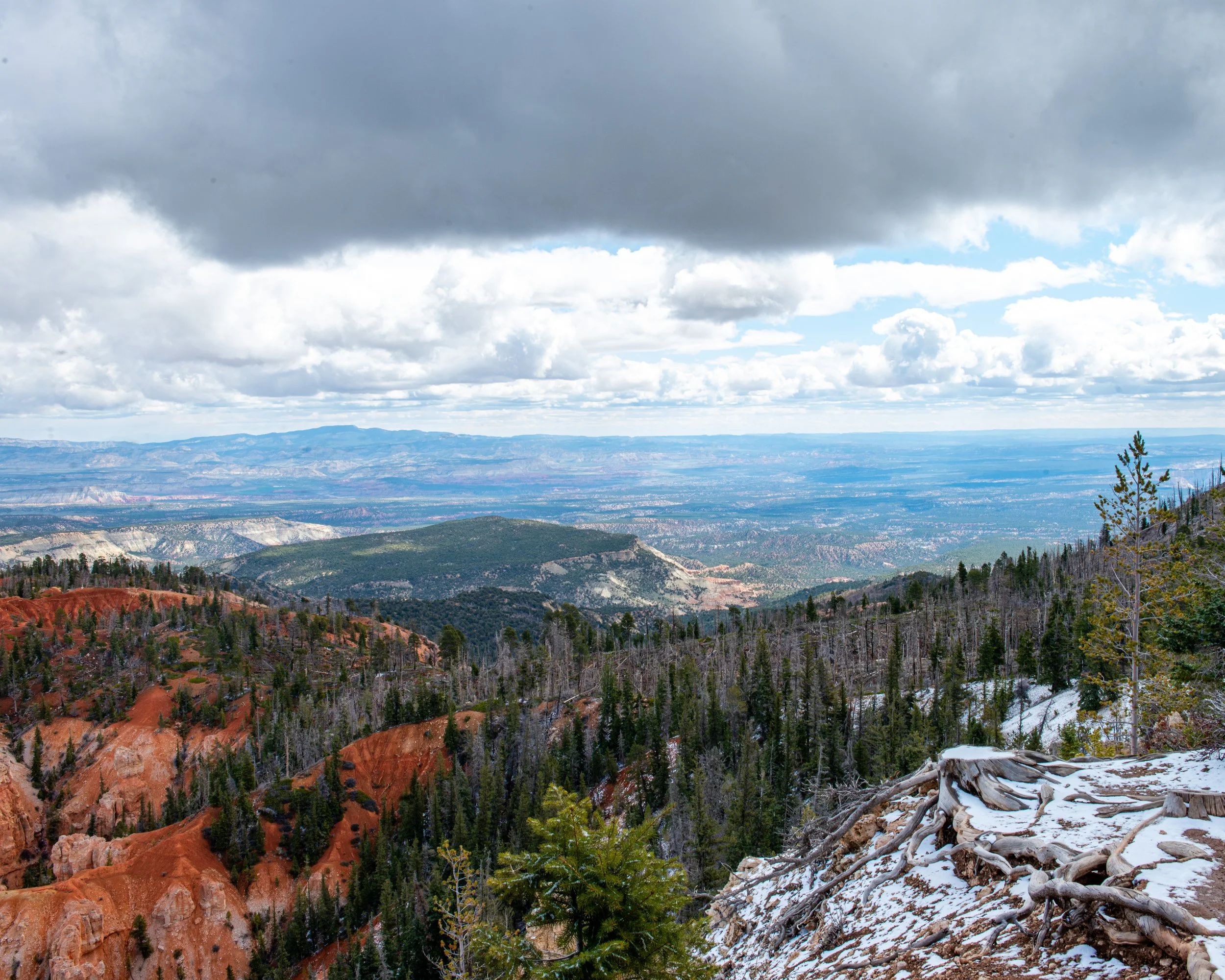 Bryce-78.jpg