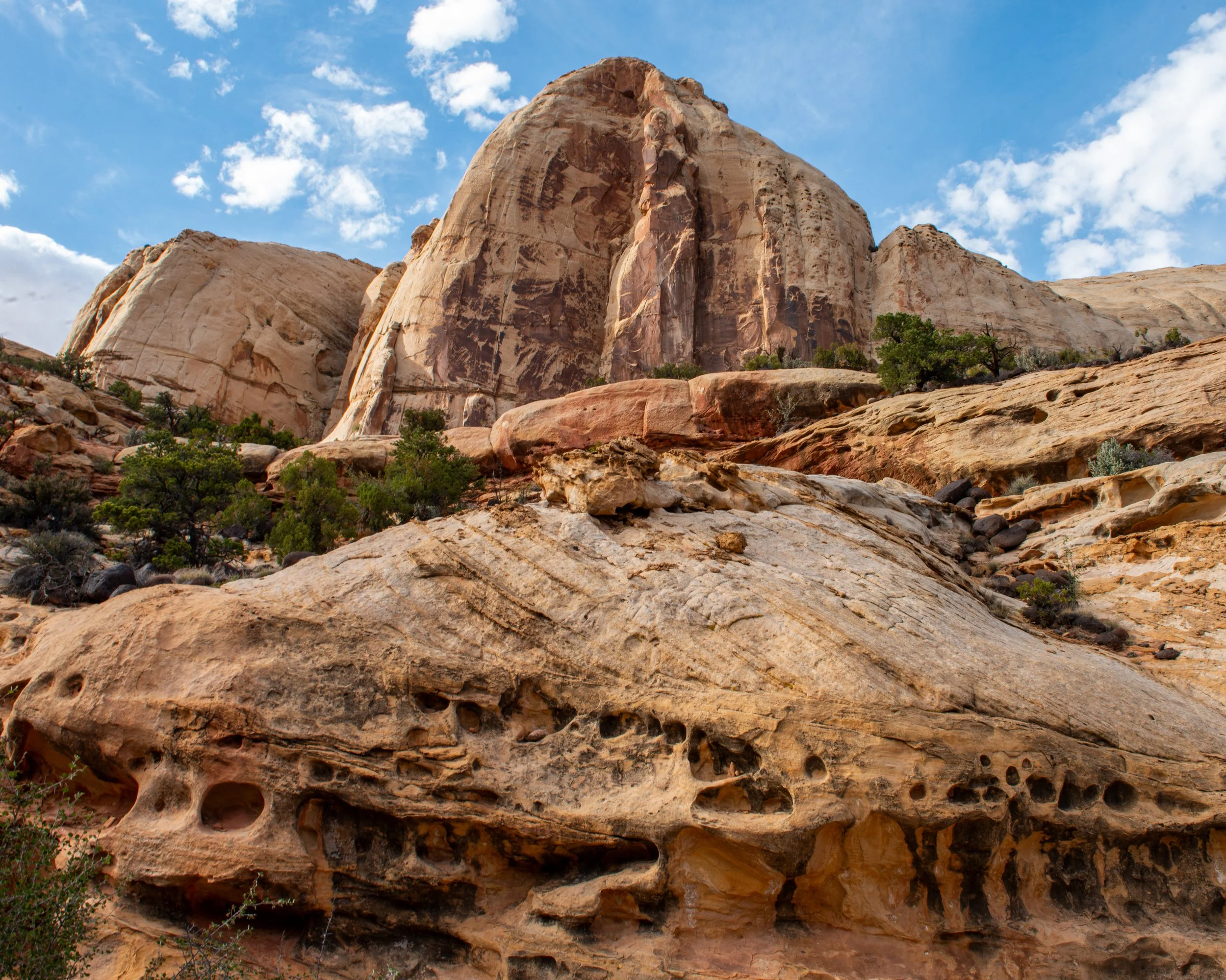 Capitol Reef-19.jpg