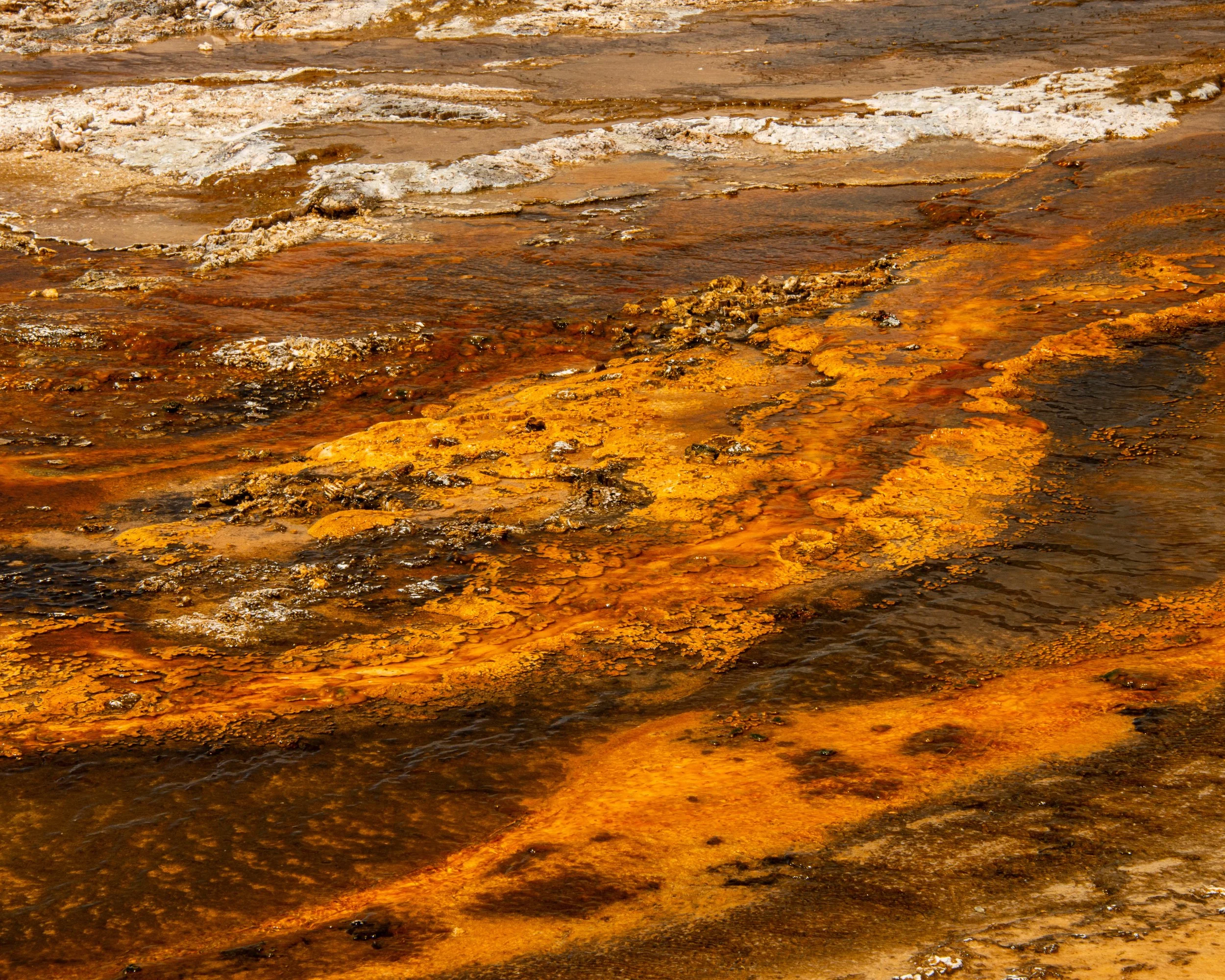 Yellowstone NP-673.jpg