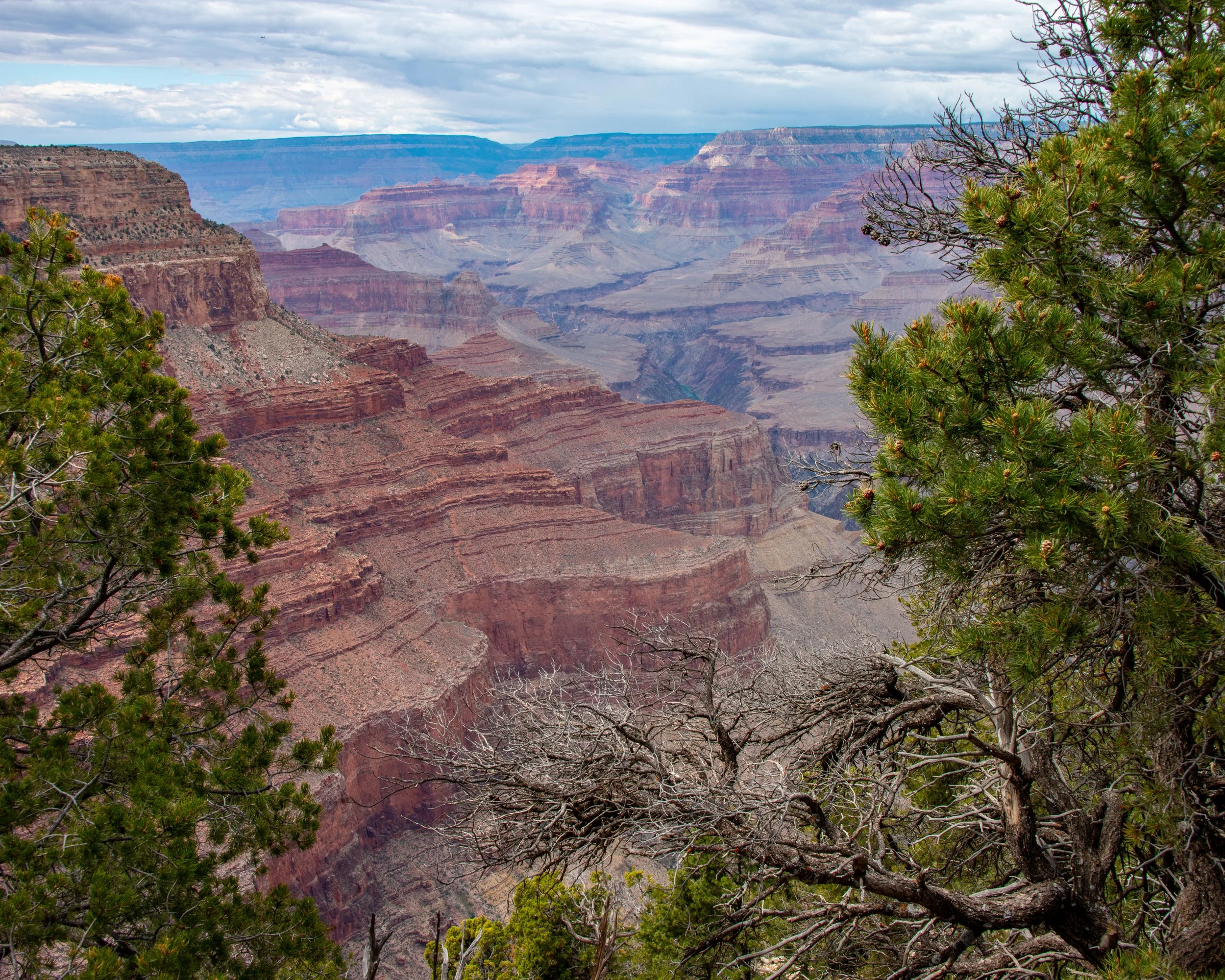 Hermits Rest-594 - Copy.jpg