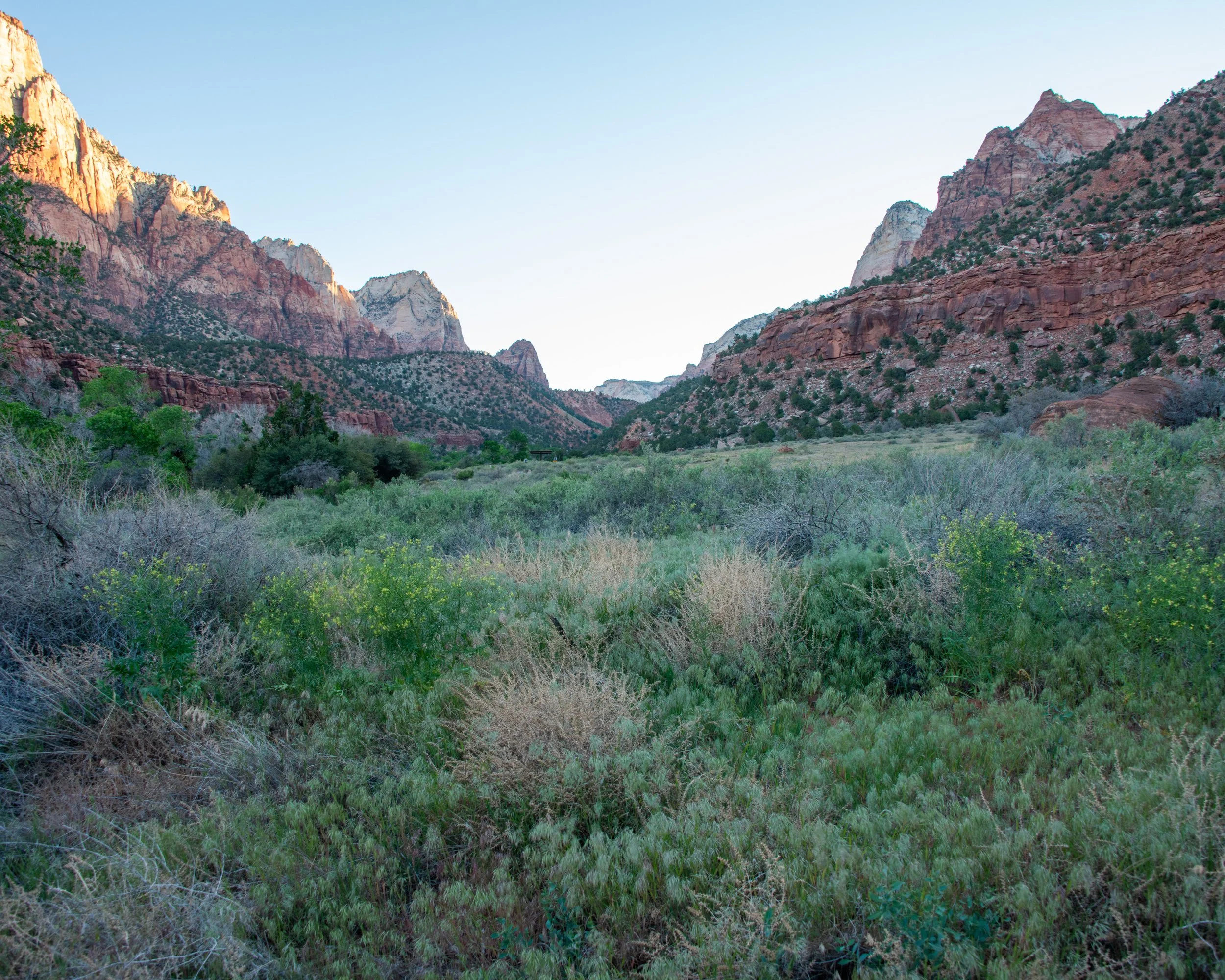Zion-33.jpg
