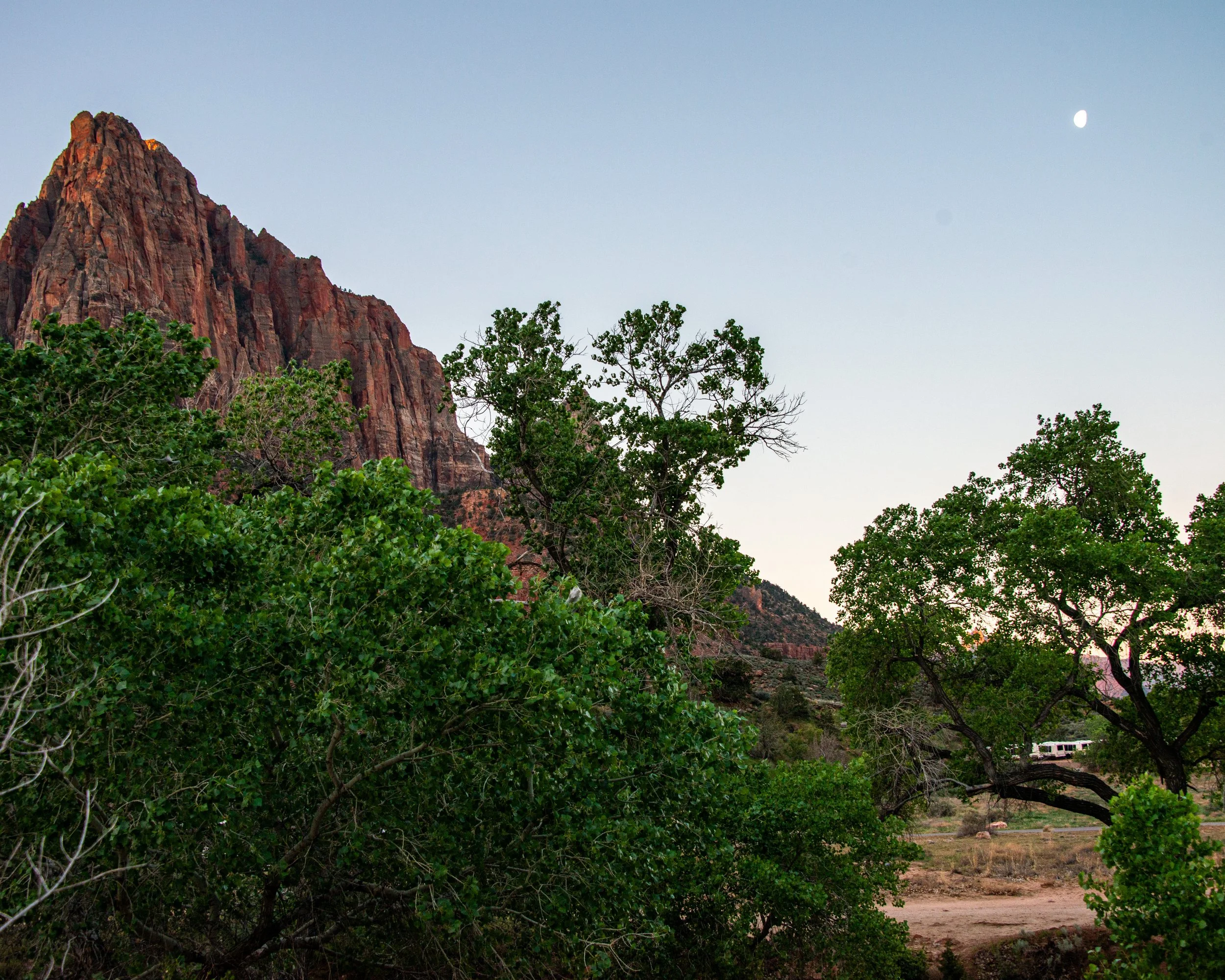 Zion-1.jpg