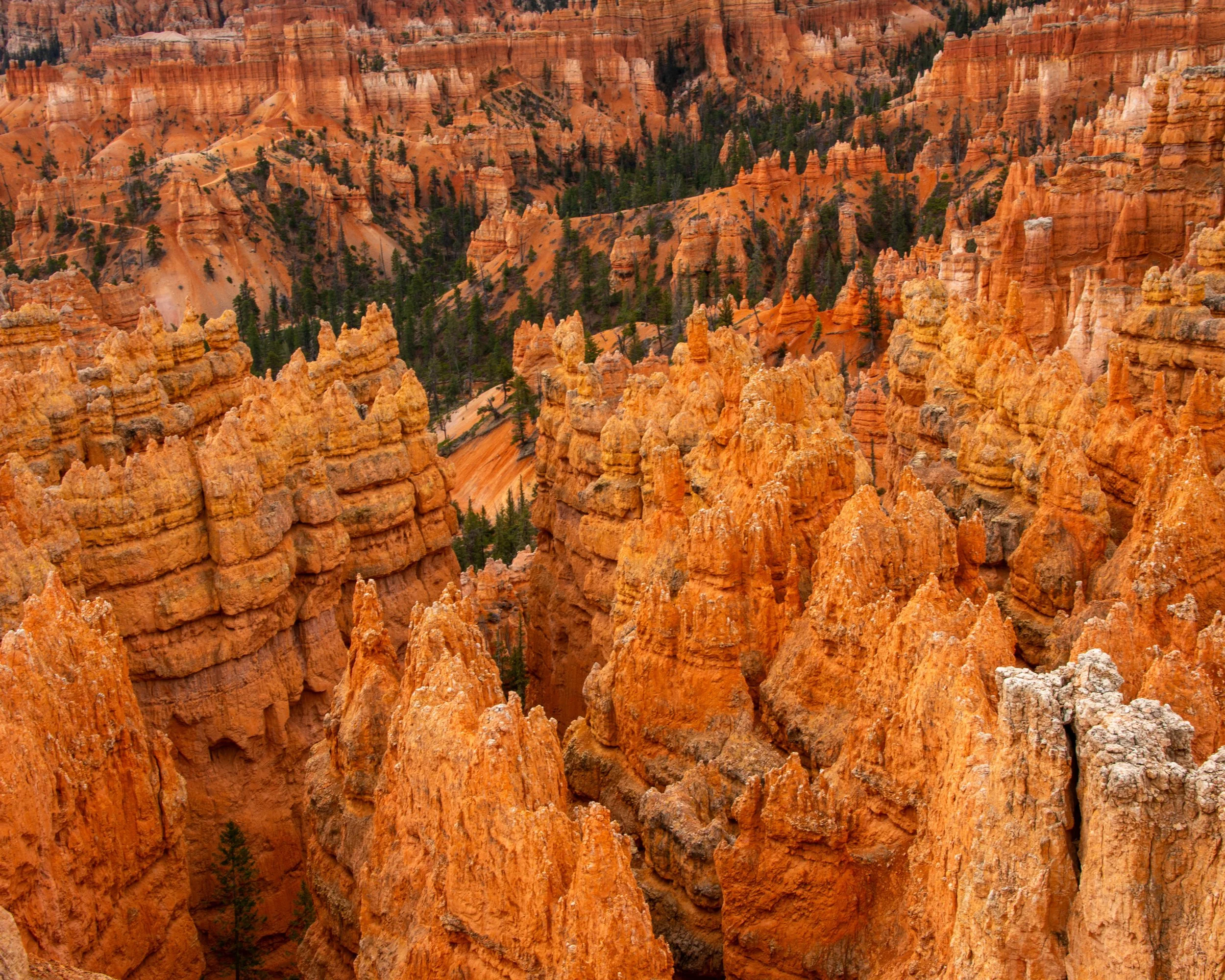 Bryce-57.jpg