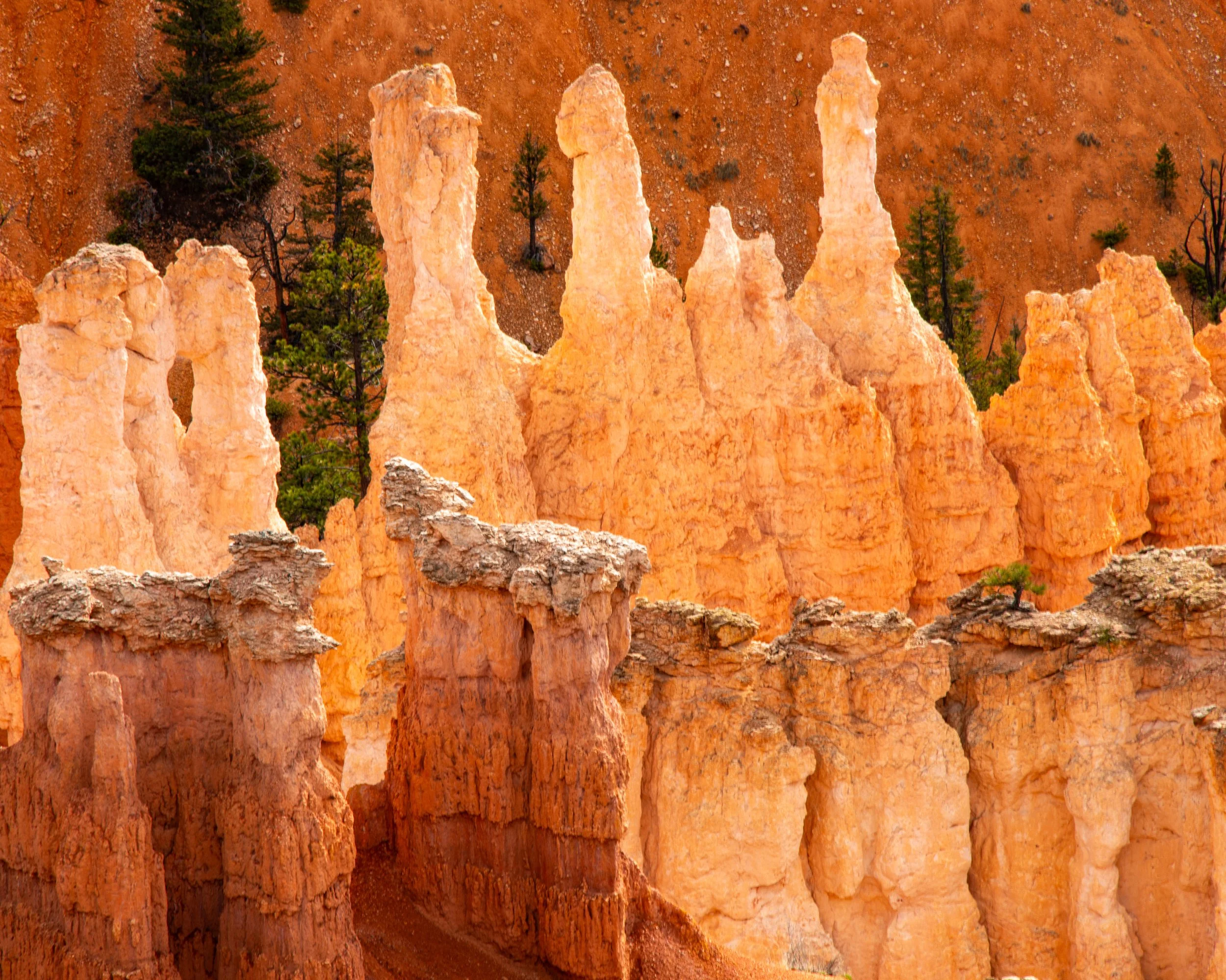 Bryce-14.jpg