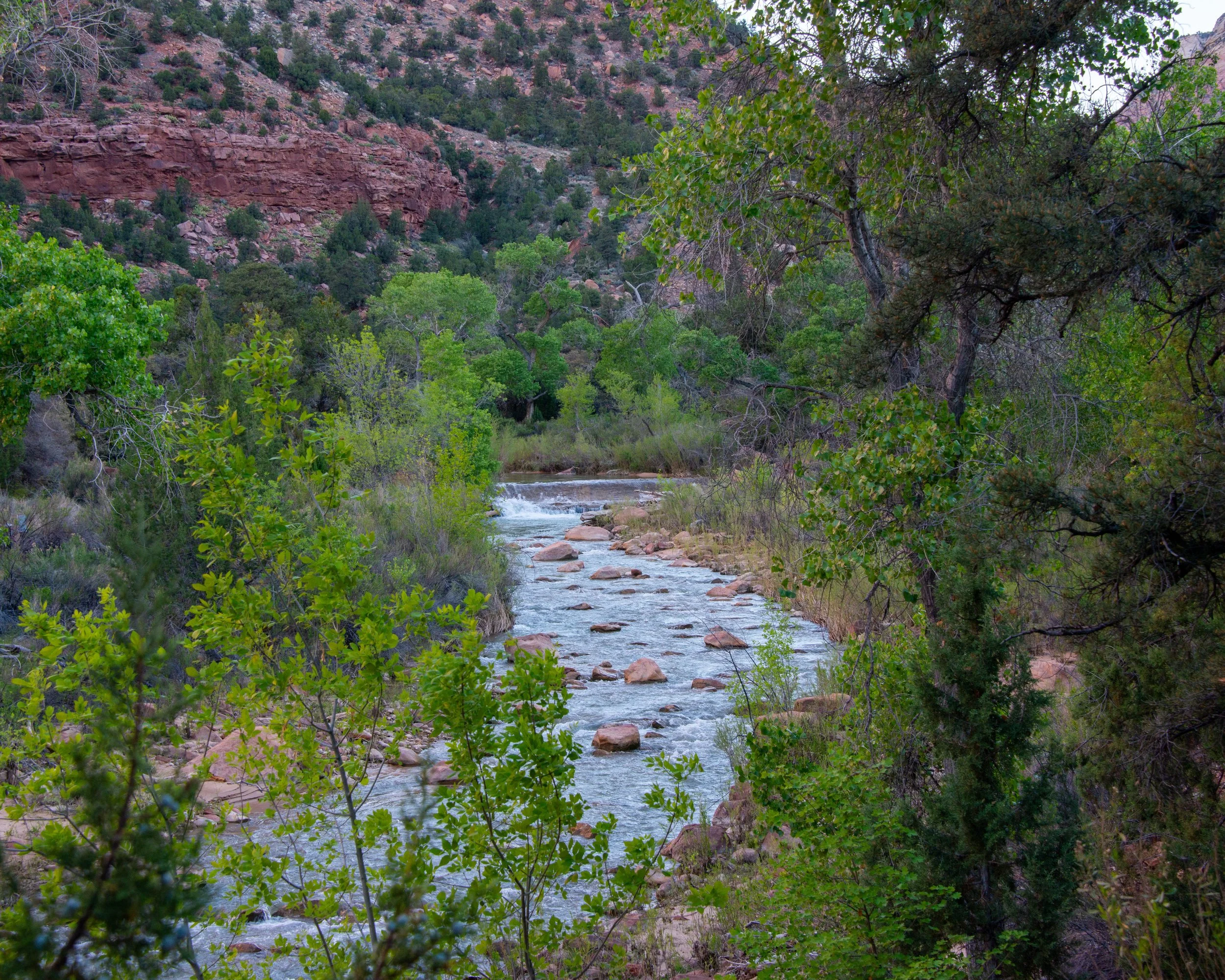 Zion-50.jpg