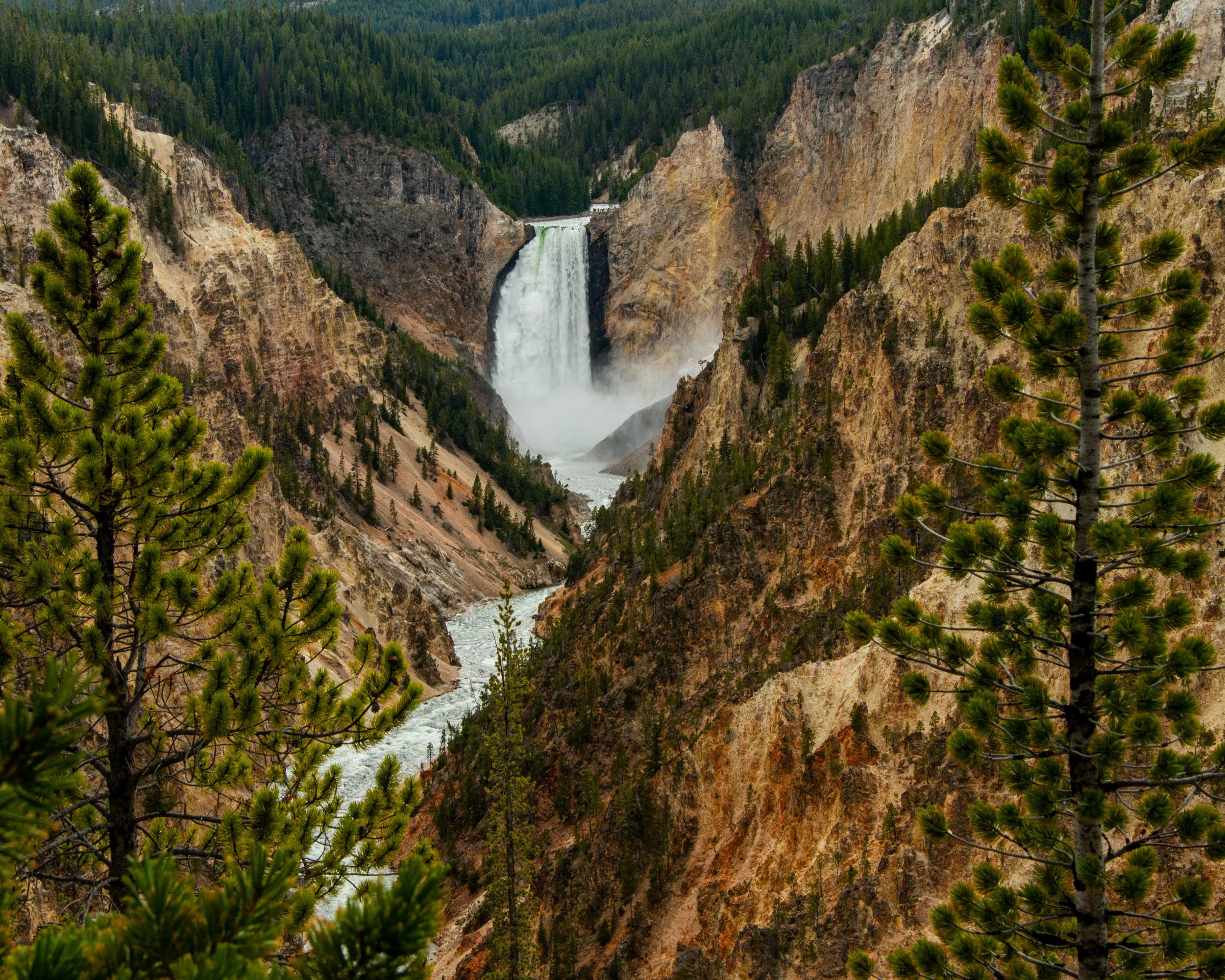 Yellowstone NP-379.jpg