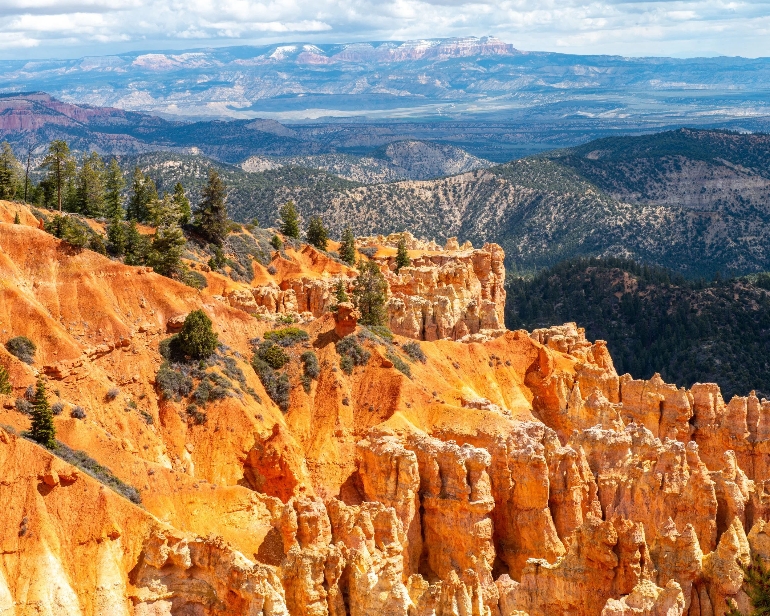 Bryce-171.jpg