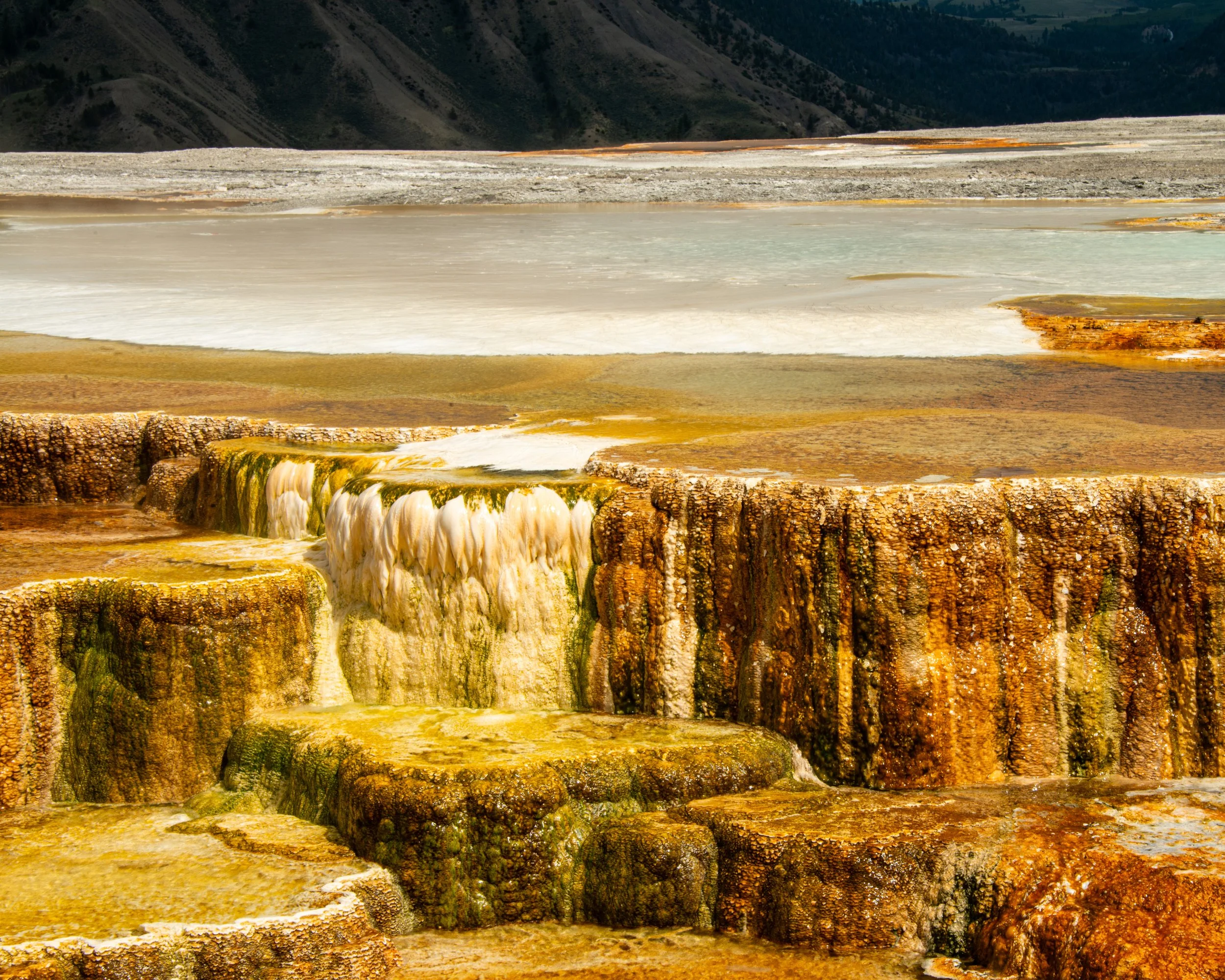 Yellowstone NP-589.jpg