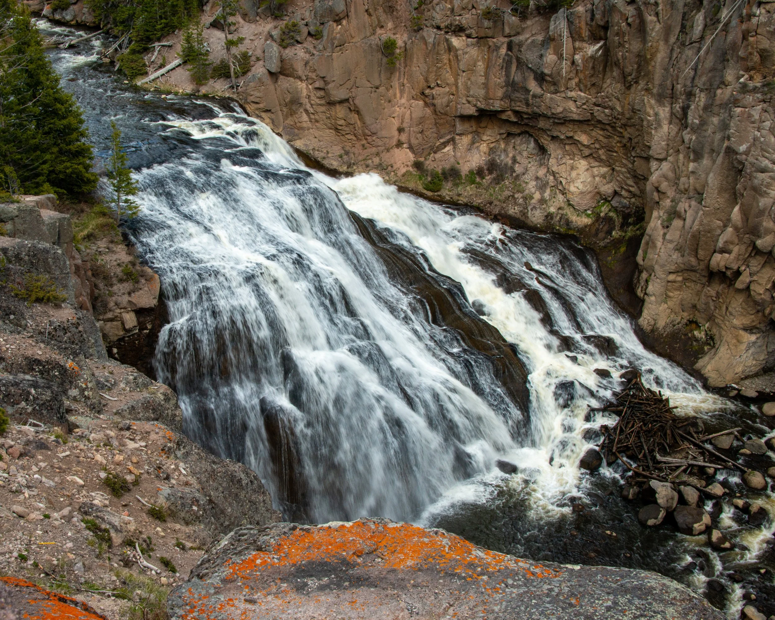 Yellowstone NP-331.jpg