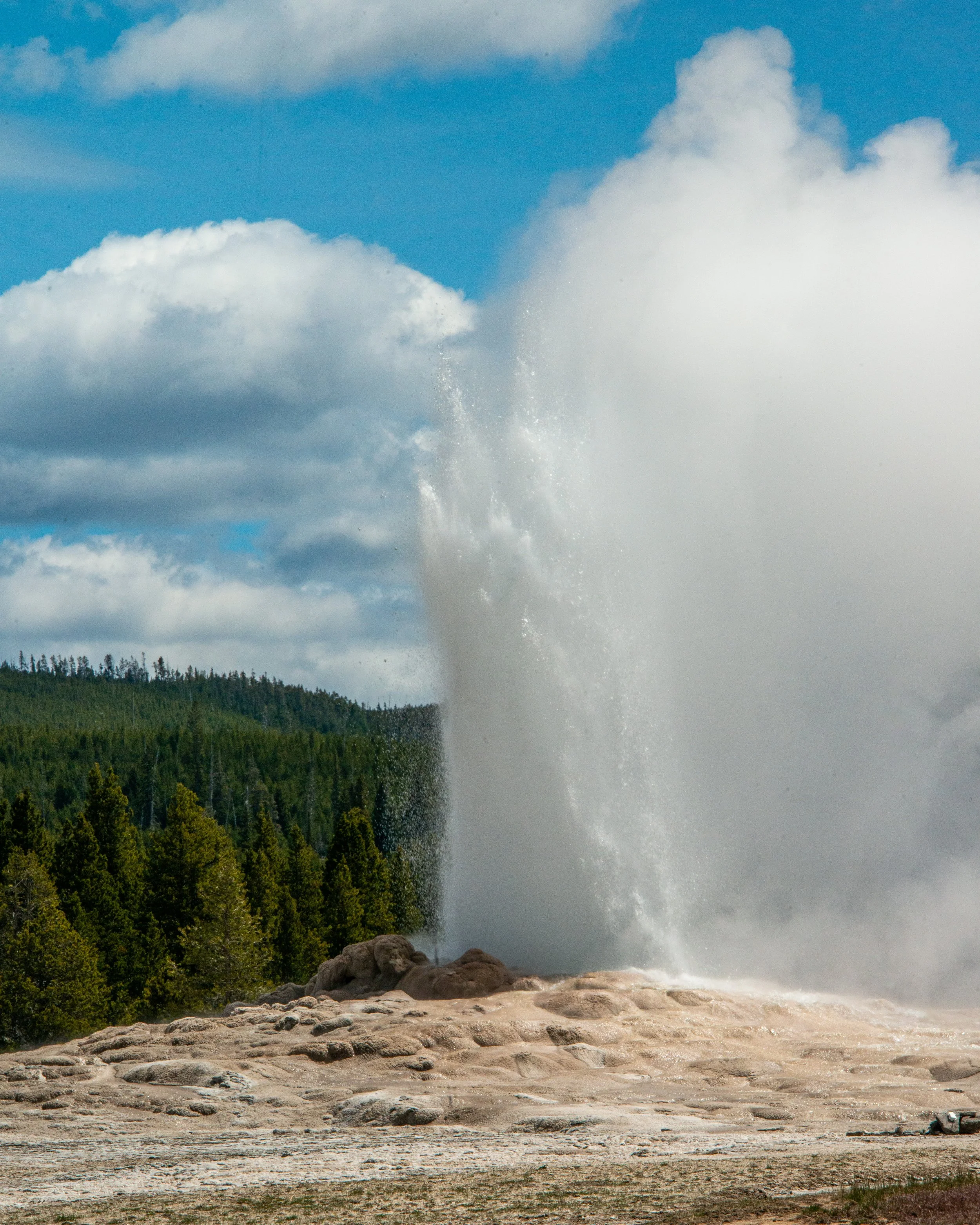 Yellowstone NP-231.jpg