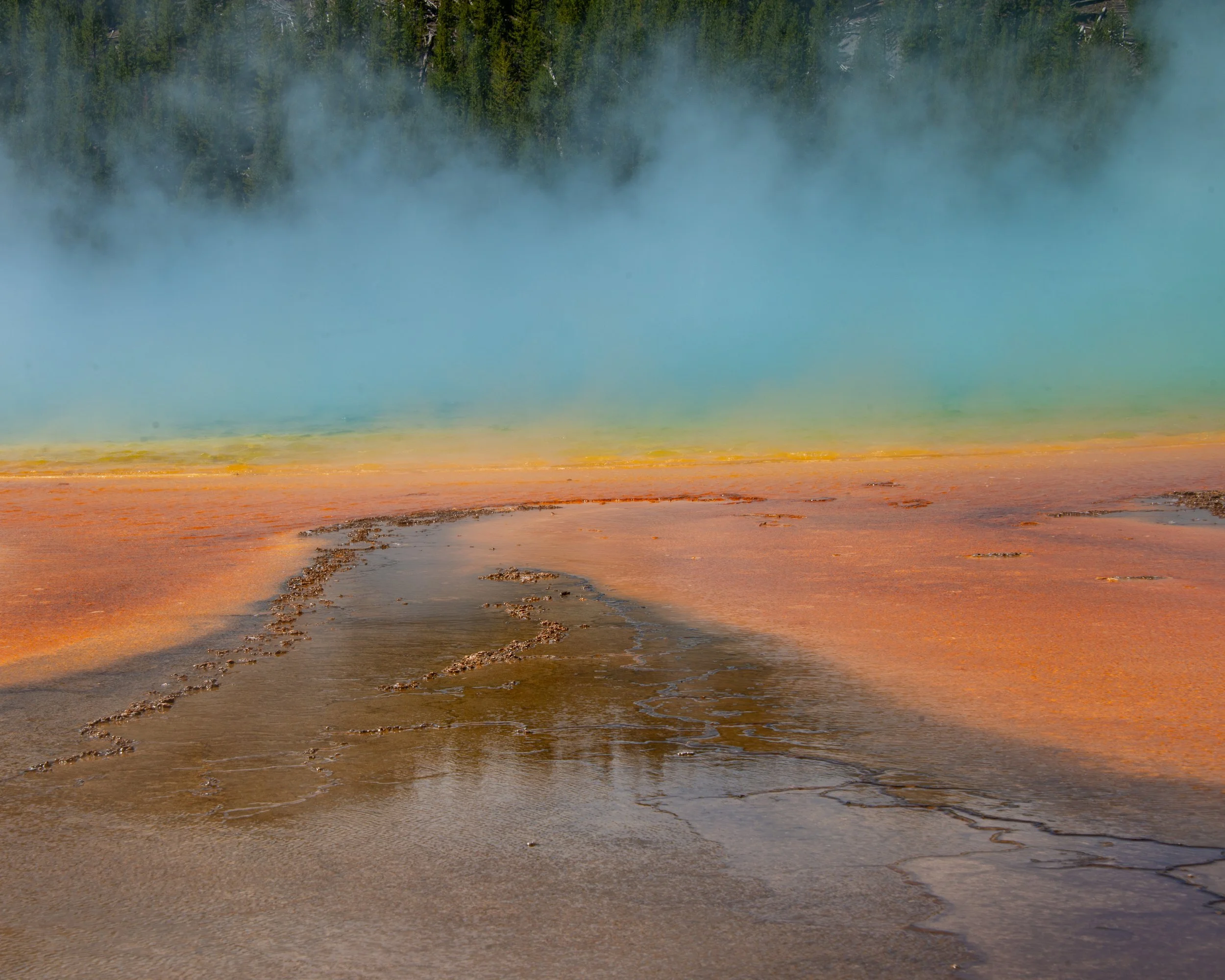 Yellowstone NP-1089.jpg