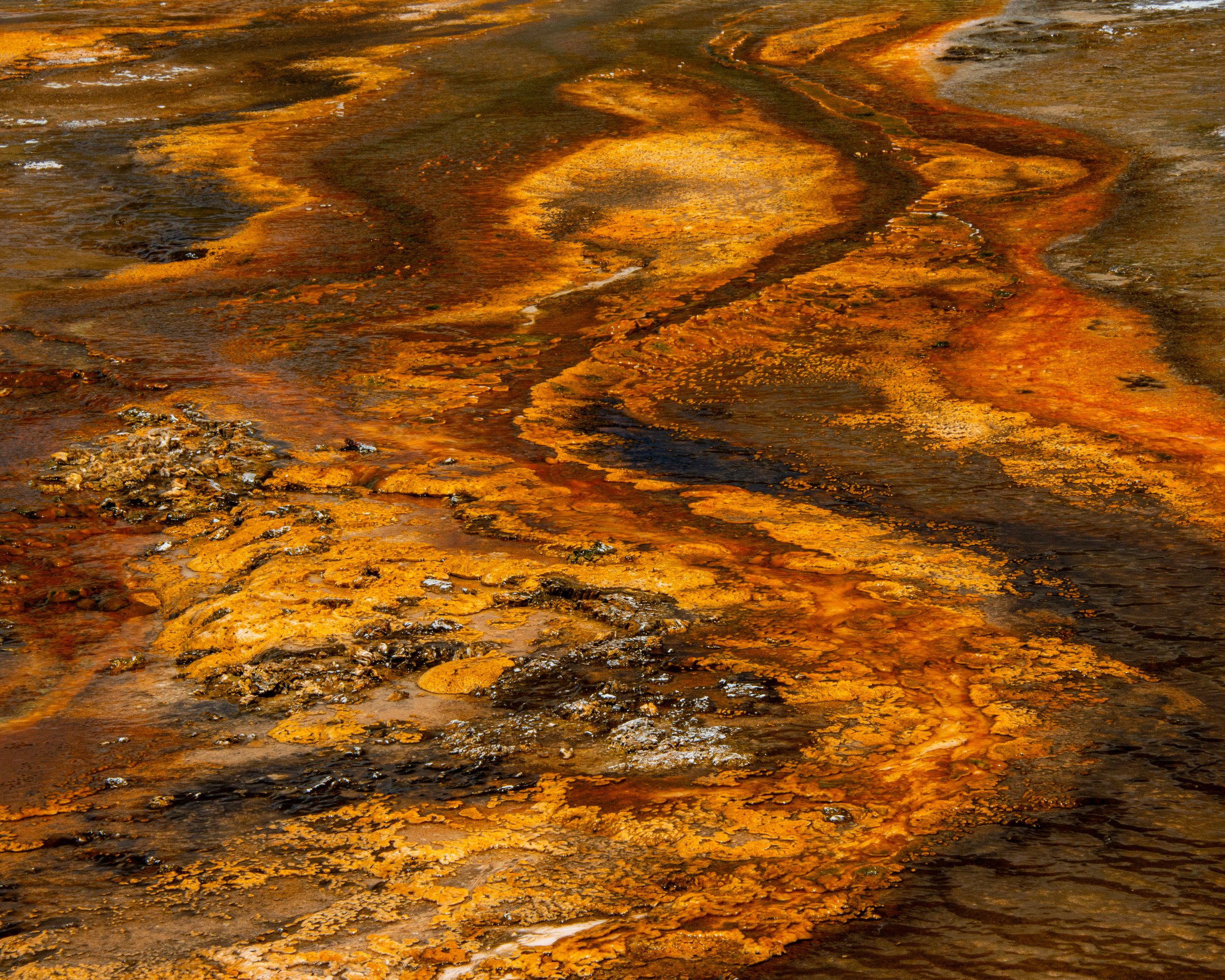 Yellowstone NP-677.jpg
