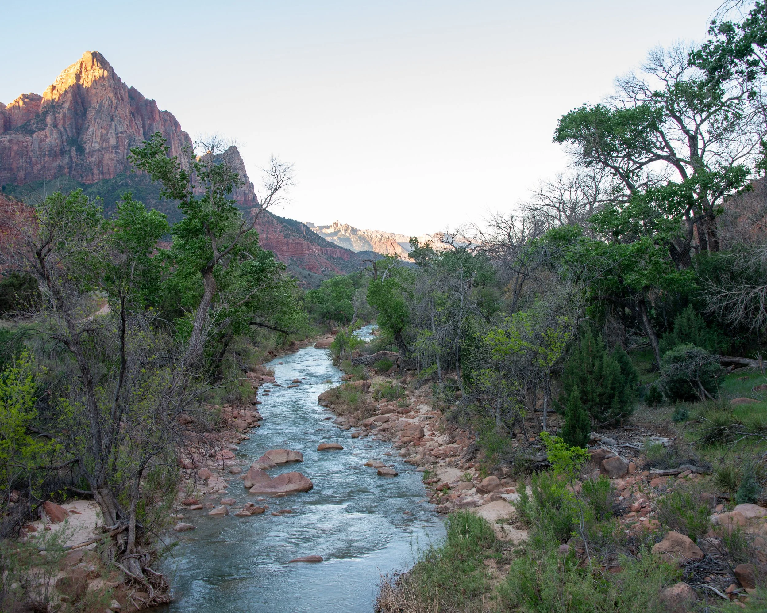 Zion-37.jpg