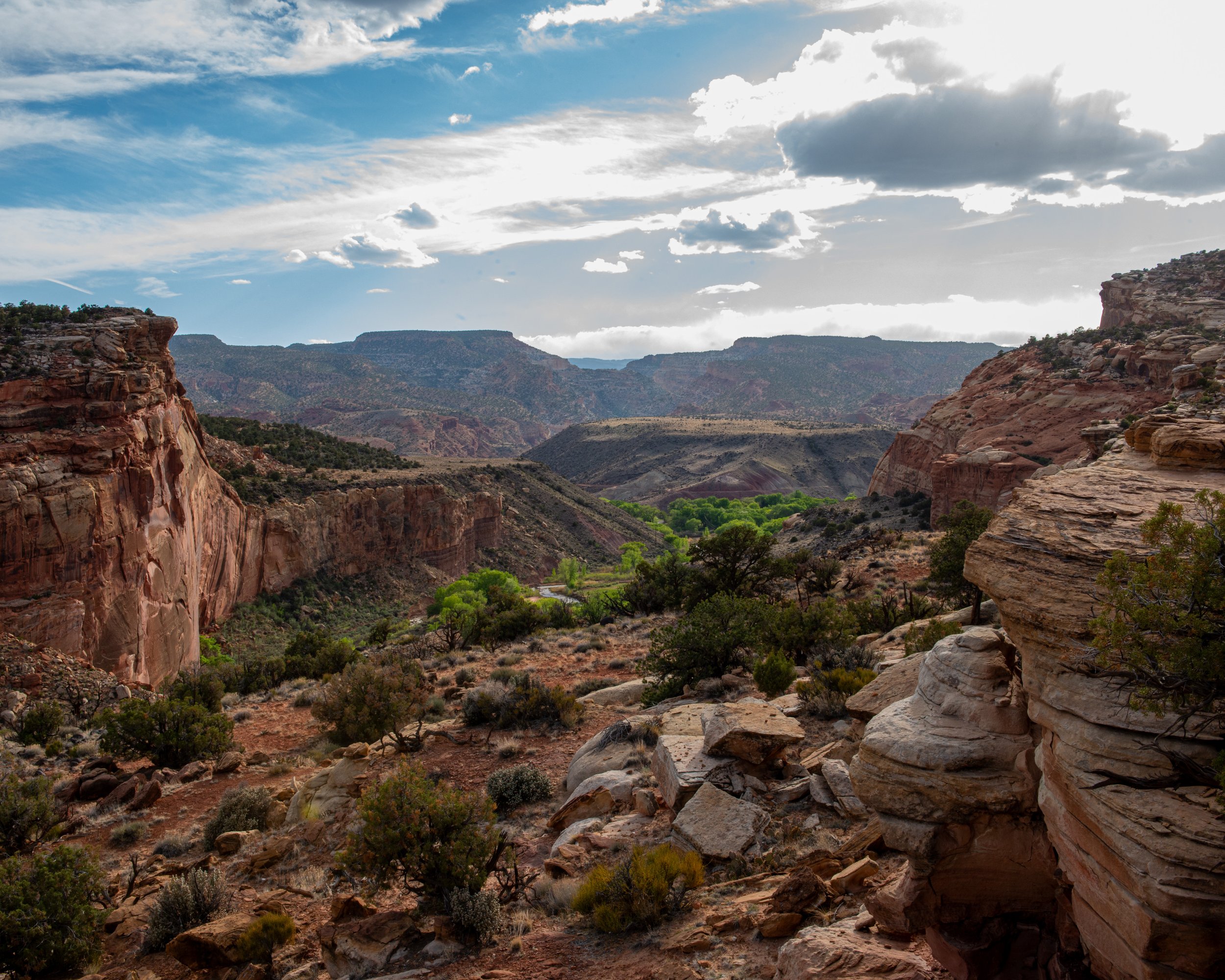 Capitol Reef-64.jpg