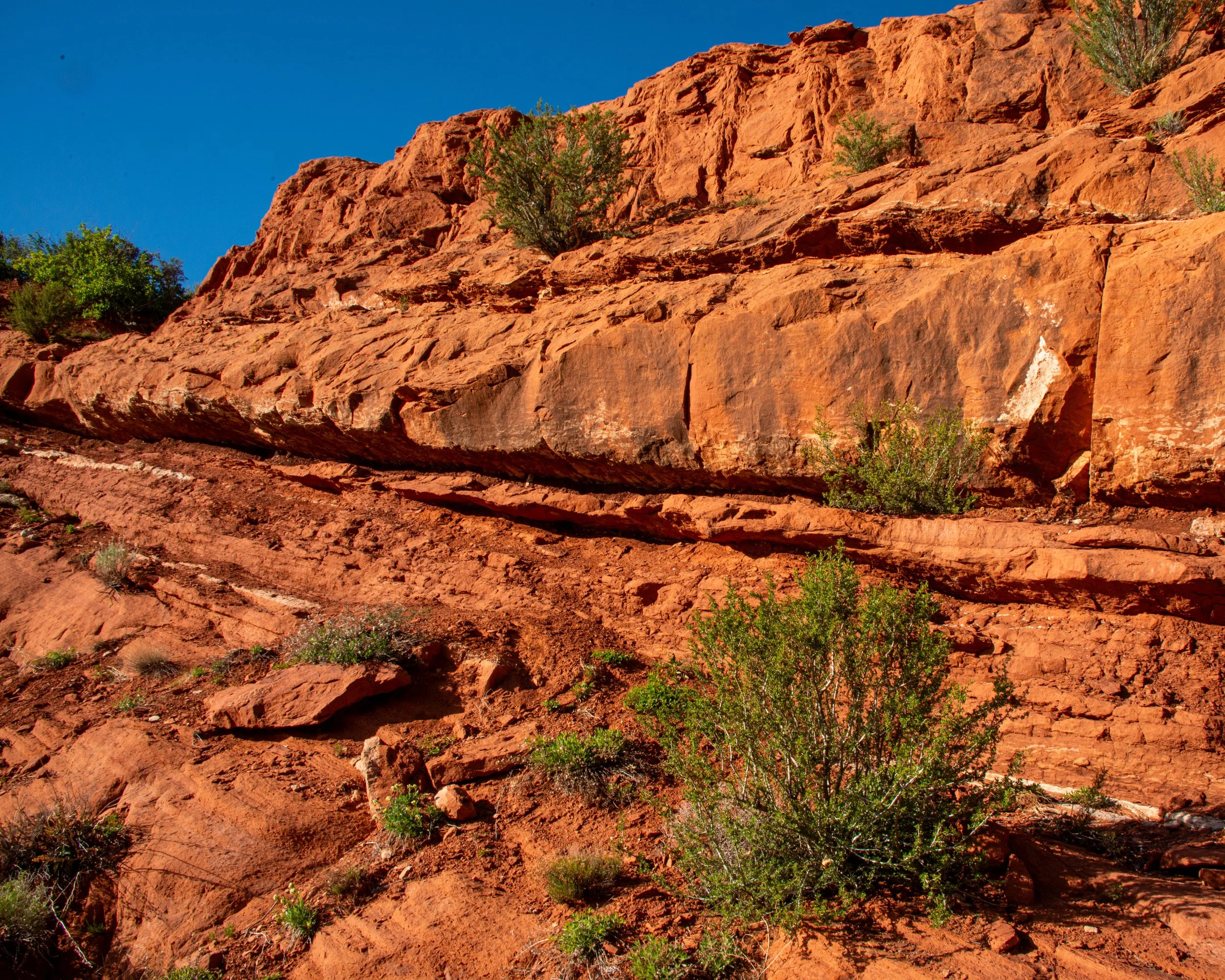 Zion-211.jpg