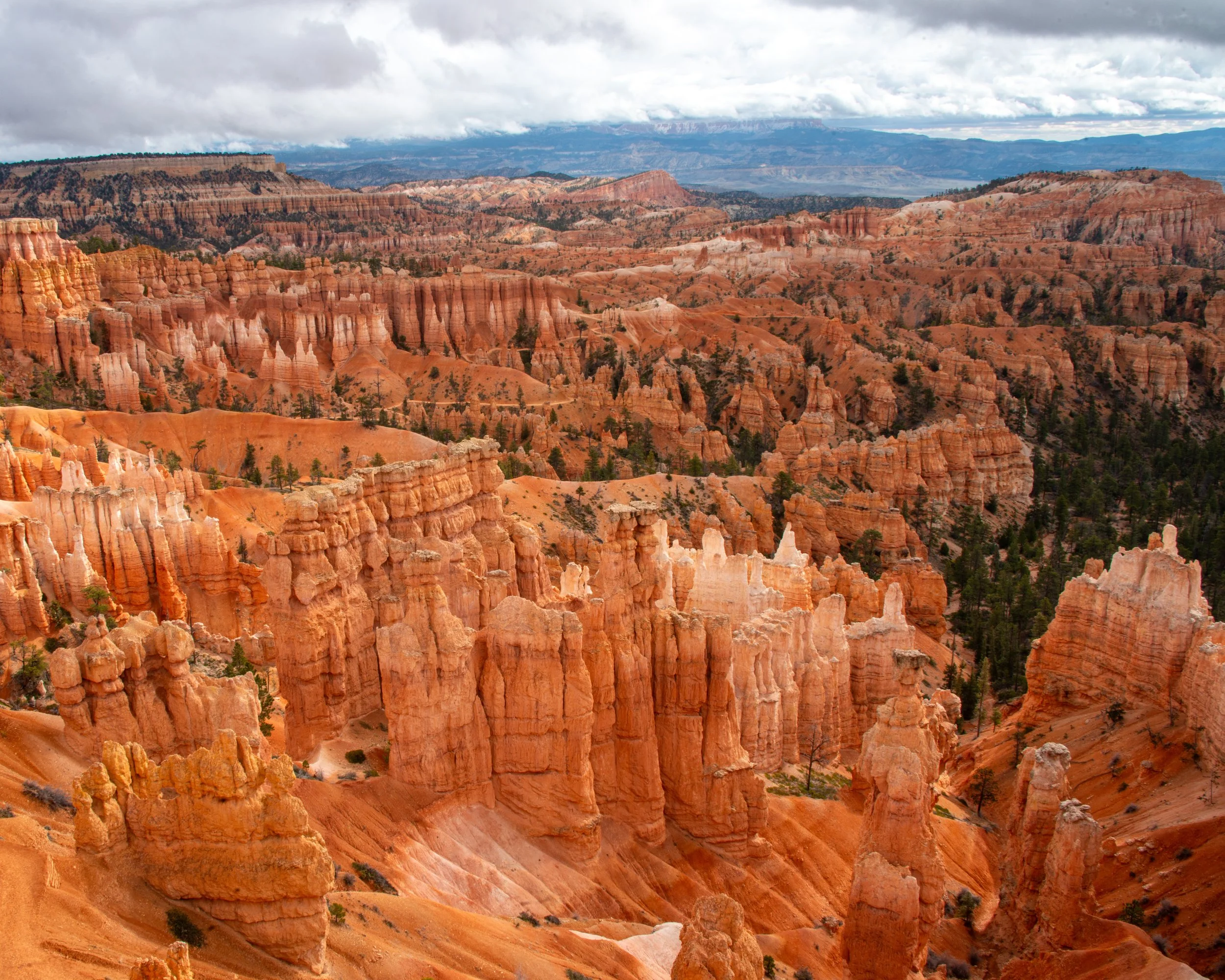 Bryce-31.jpg