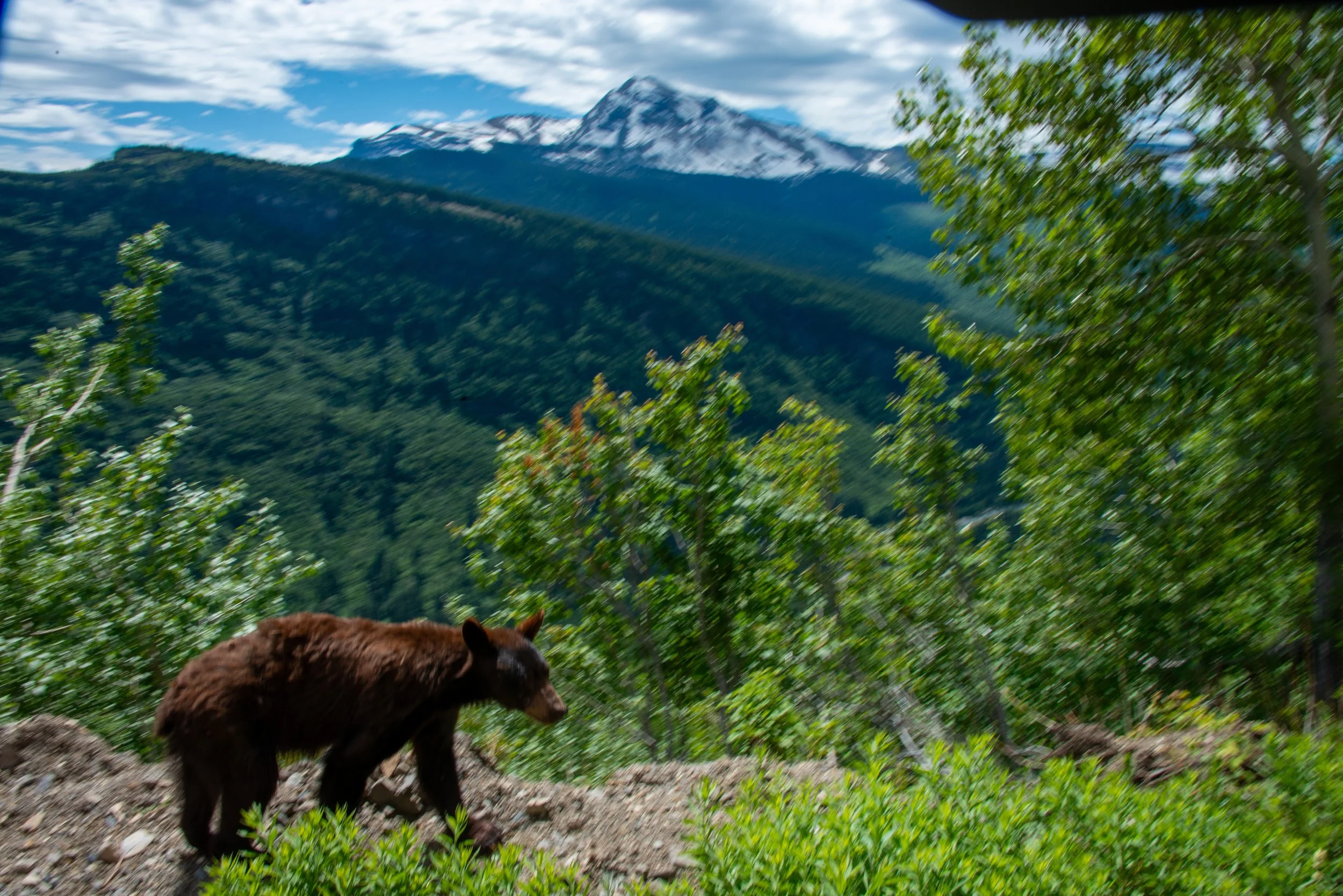 Glacier NP-550.jpg
