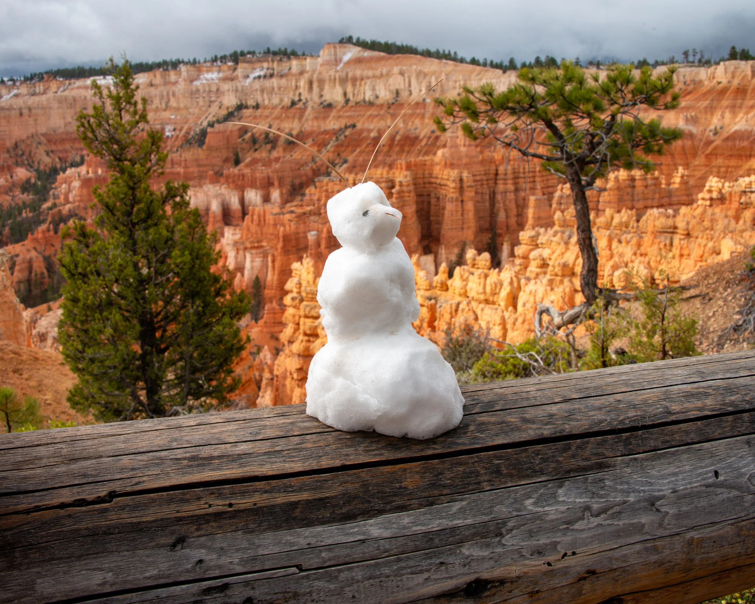 Bryce-39.jpg