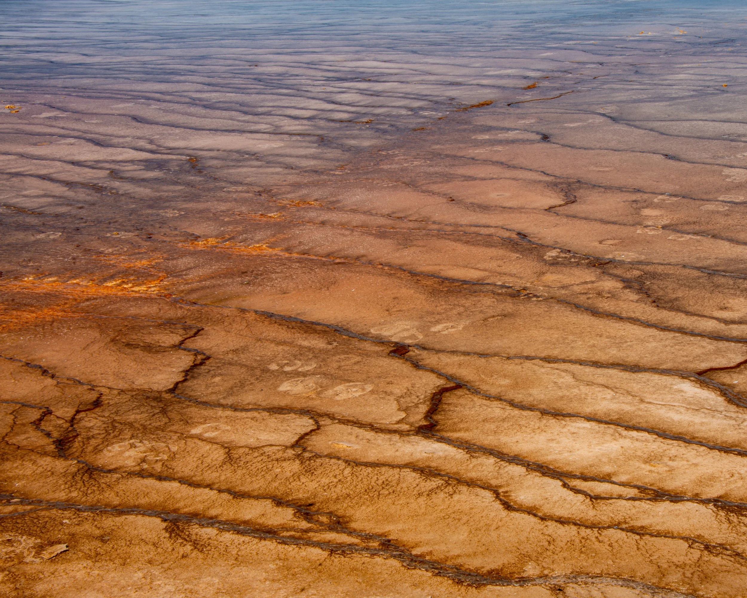 Yellowstone NP-1100.jpg