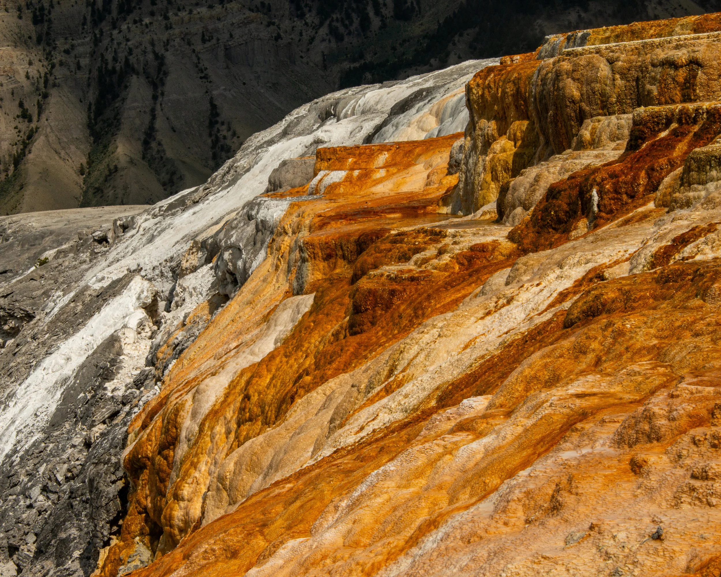 Yellowstone NP-581.jpg