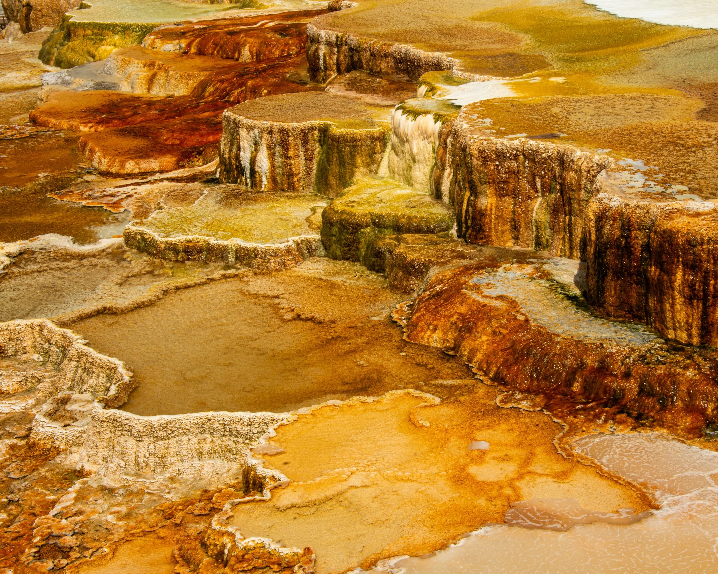 Yellowstone NP-547.jpg