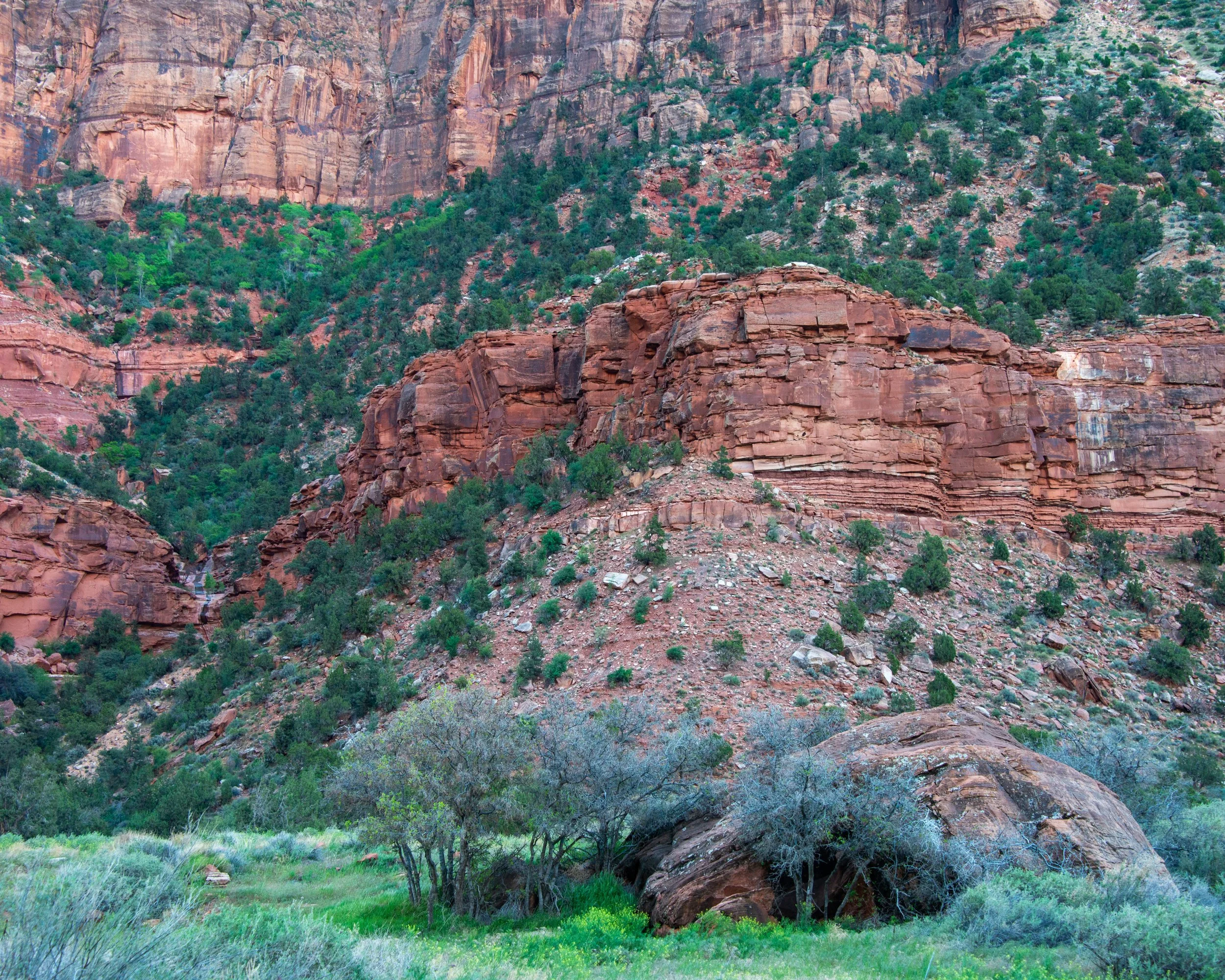 Zion-35.jpg