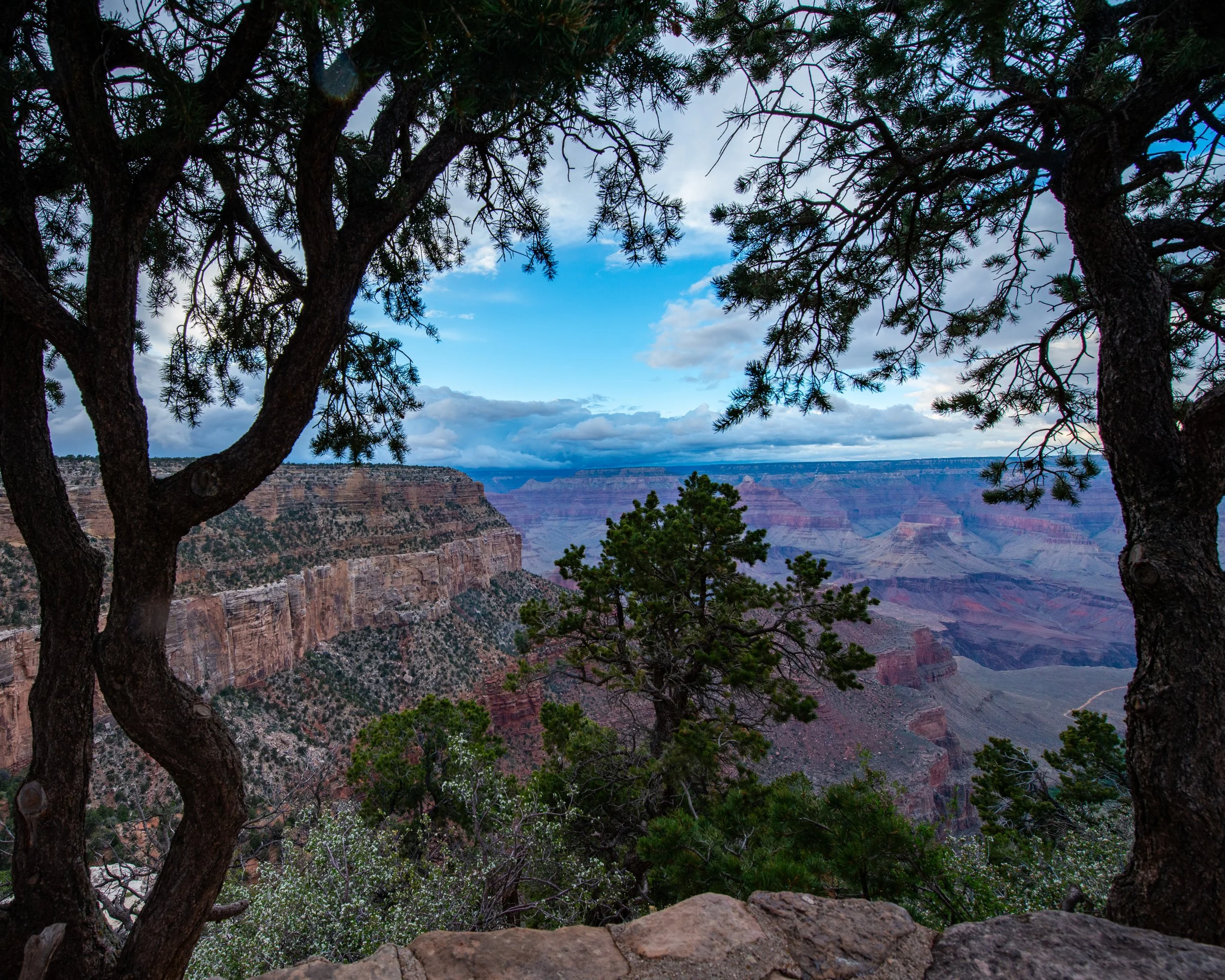 Rim Trail 5-6-25-99.jpg