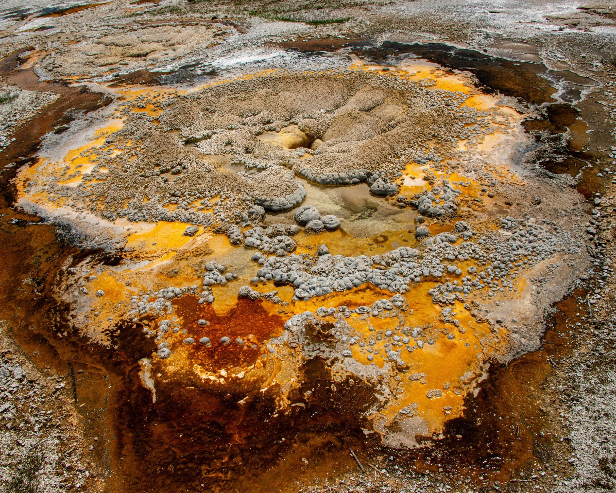 Yellowstone NP-665.jpg