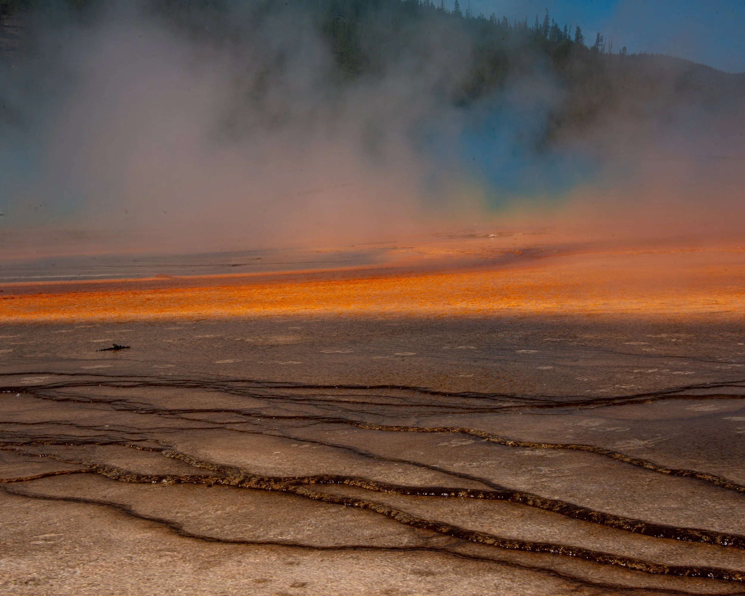 Yellowstone NP-1076.jpg