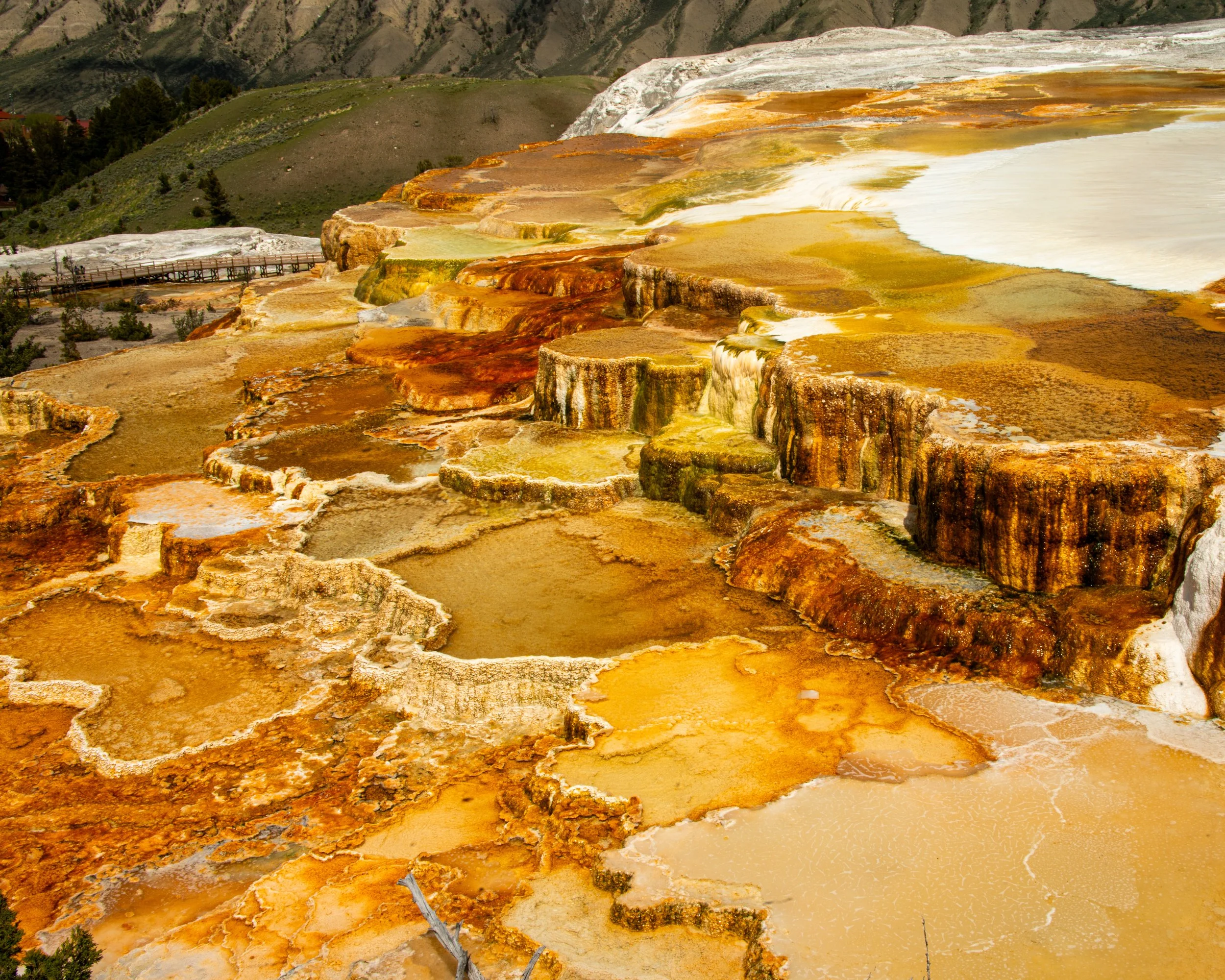 Yellowstone NP-553.jpg